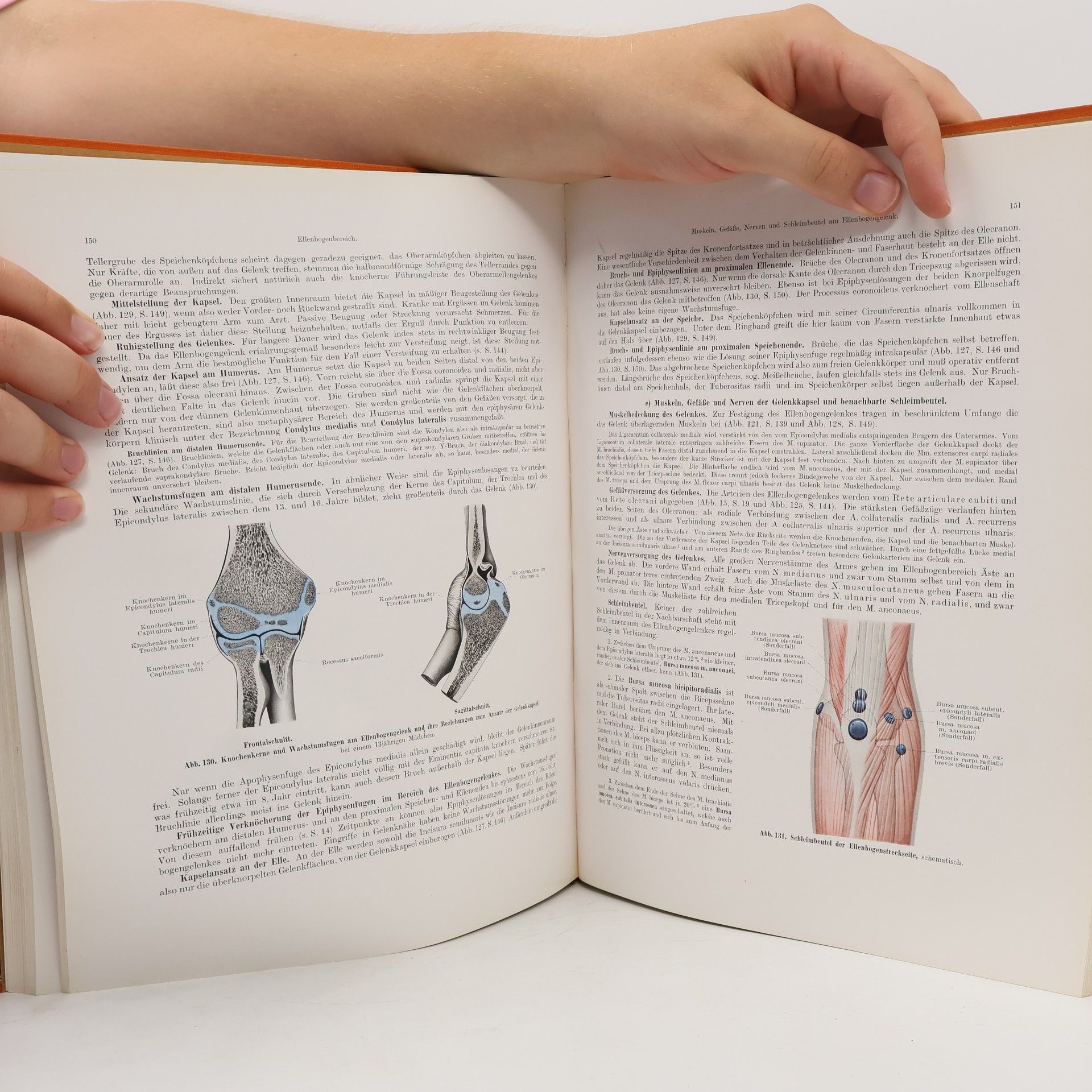 Autorenkollektiv Praktische Anatomie I./3