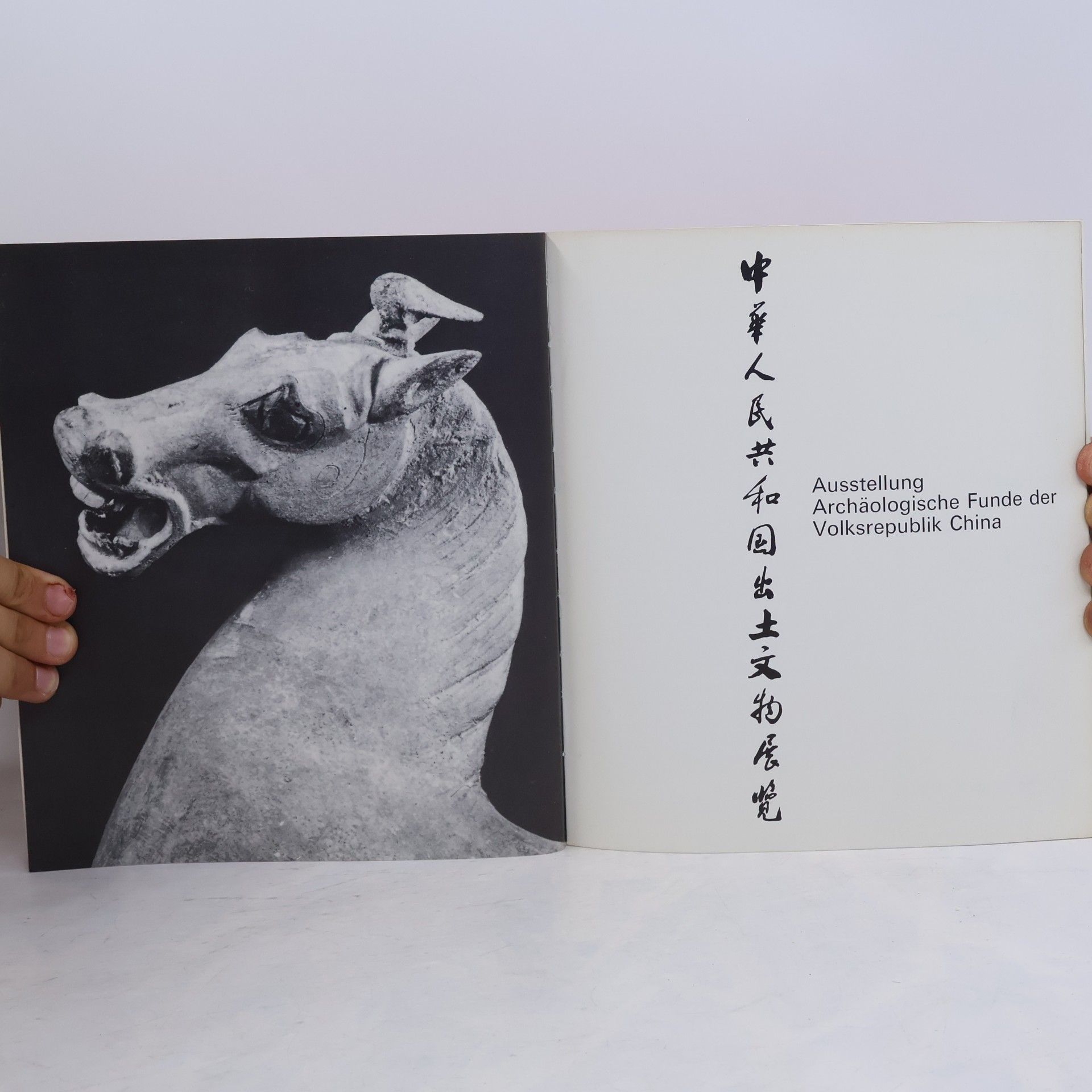 AA.VV. Archäologische Funde der Volksrepublik China