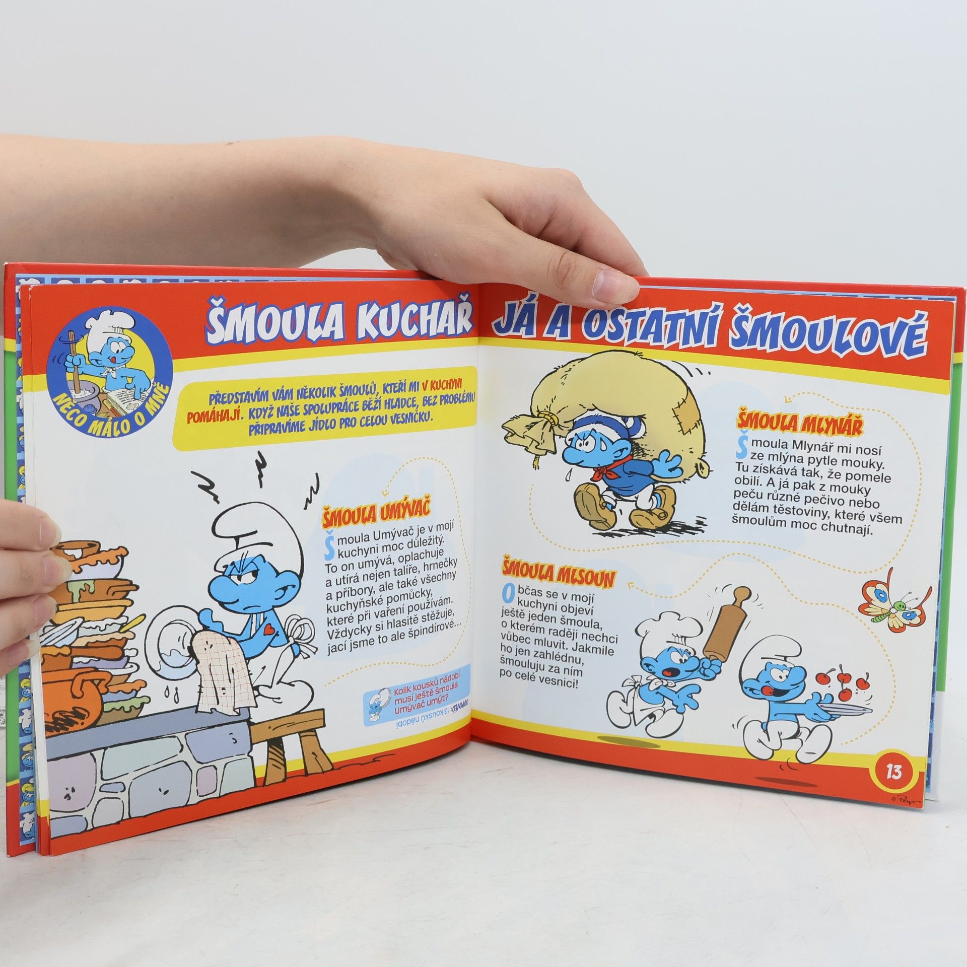 Collectif d'auteurs Šmoula kuchař. Povolání světa 1