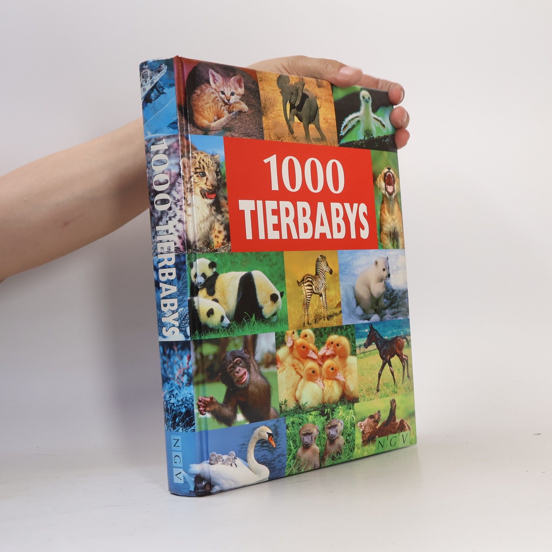 Ulrike Schöber 1000 Tierbabys