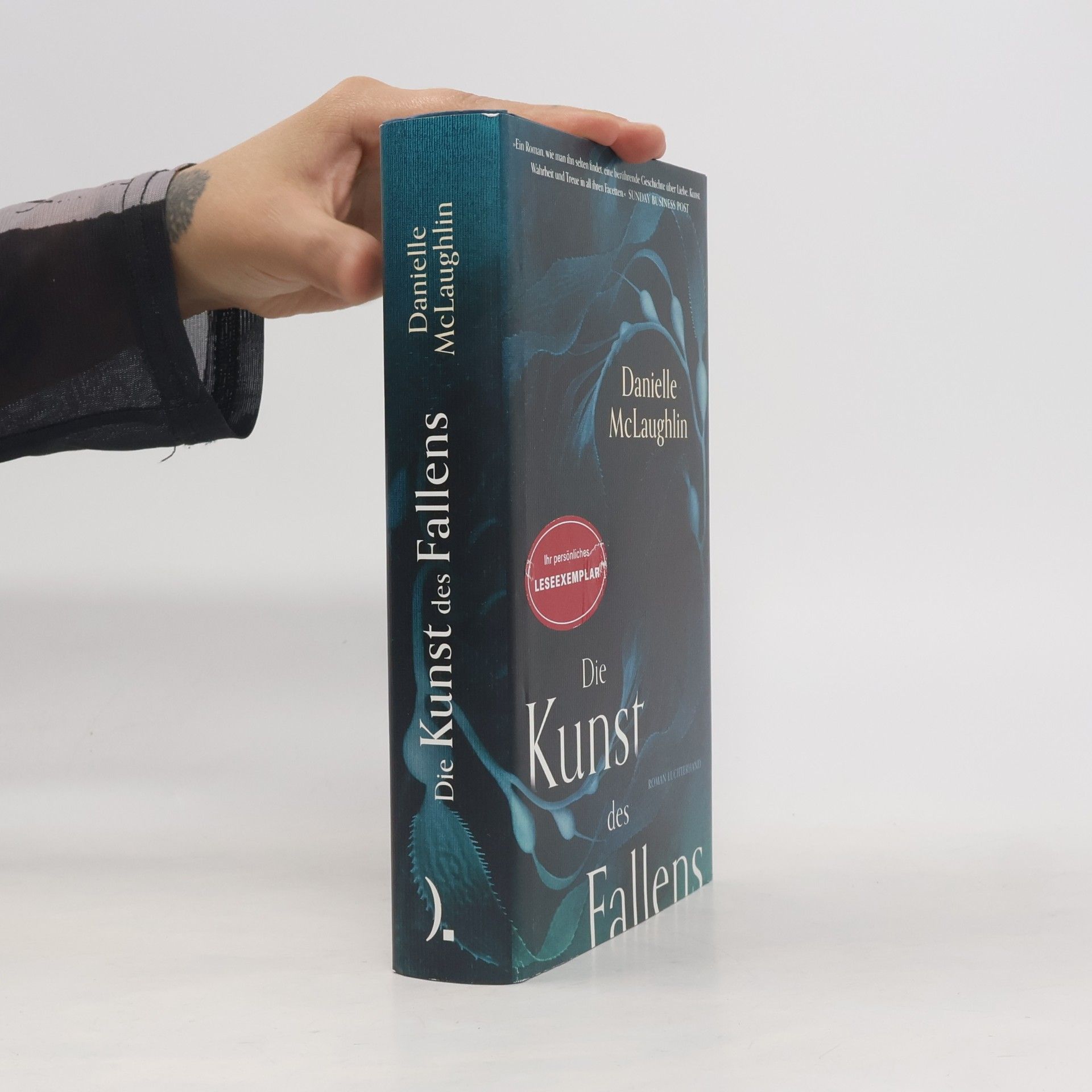 Danielle McLaughlin Die Kunst des Fallens
