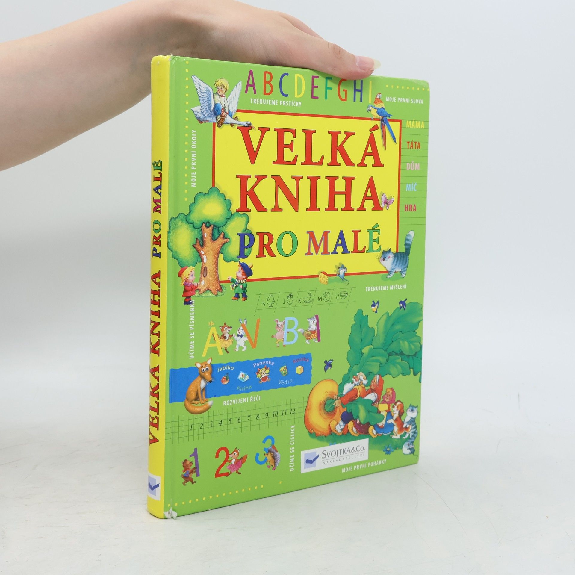 Kolektiv autorů Velká kniha pro malé