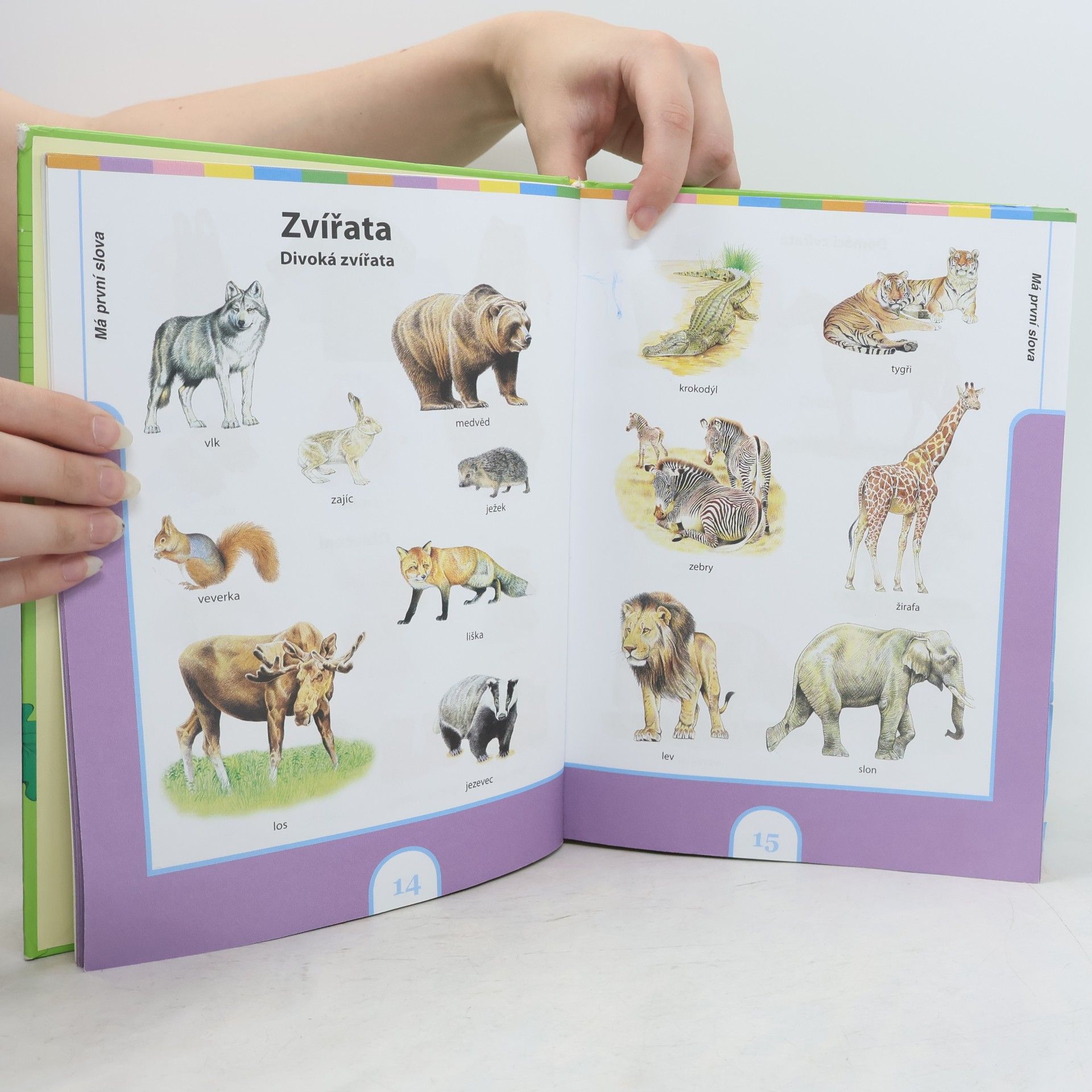 Kolektiv autorů Velká kniha pro malé