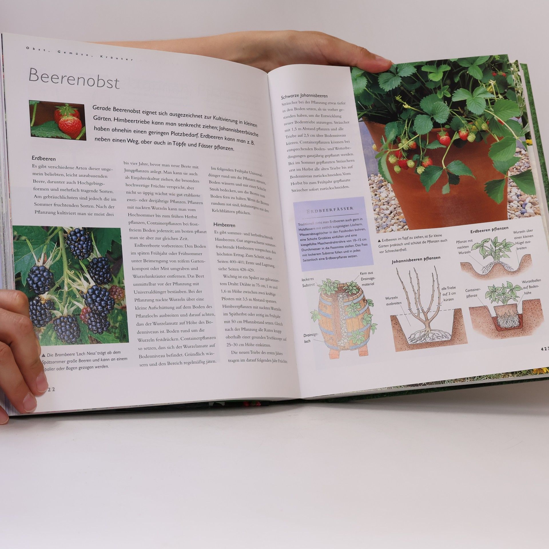 Autorenkollektiv Das Grosse Gartenbuch