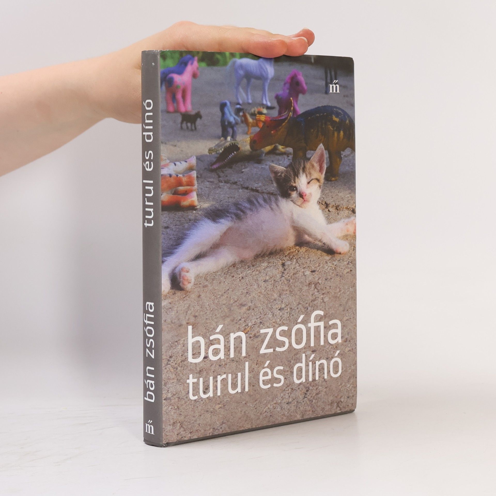 Turul és dínó