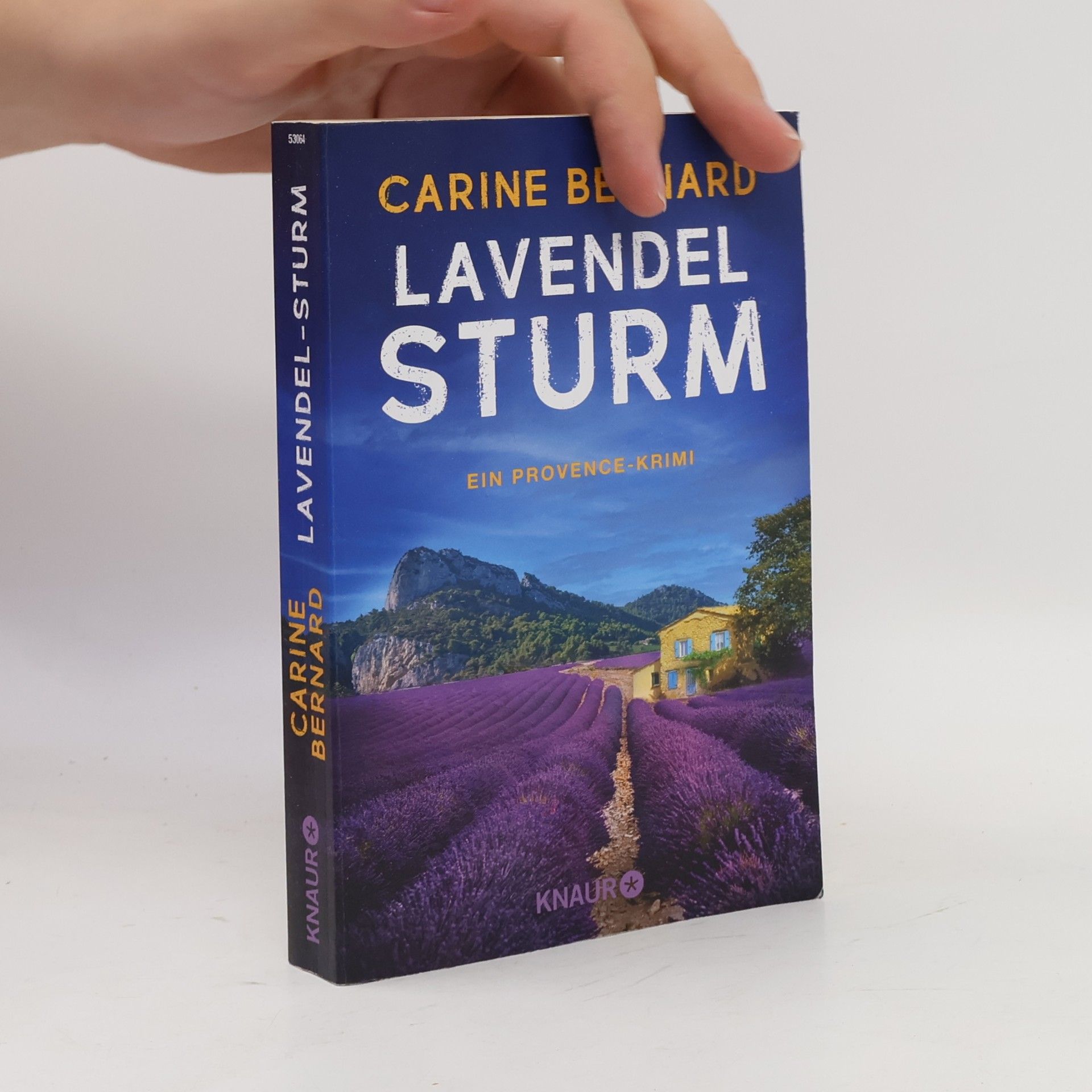 Carine Bernard Lavendel-Sturm