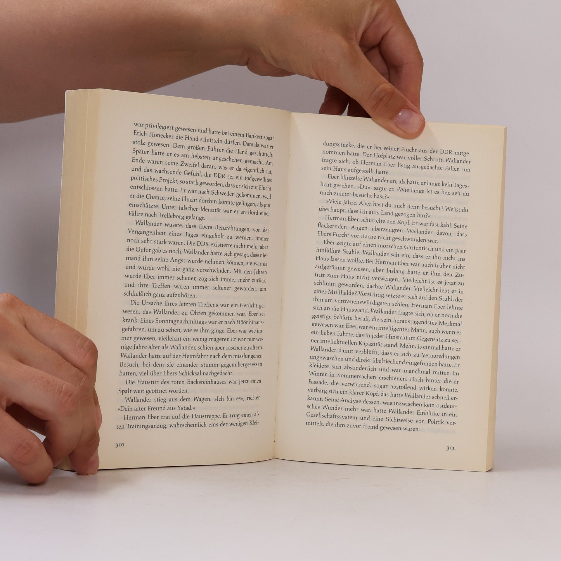 Henning Mankell Der Feind im Schatten