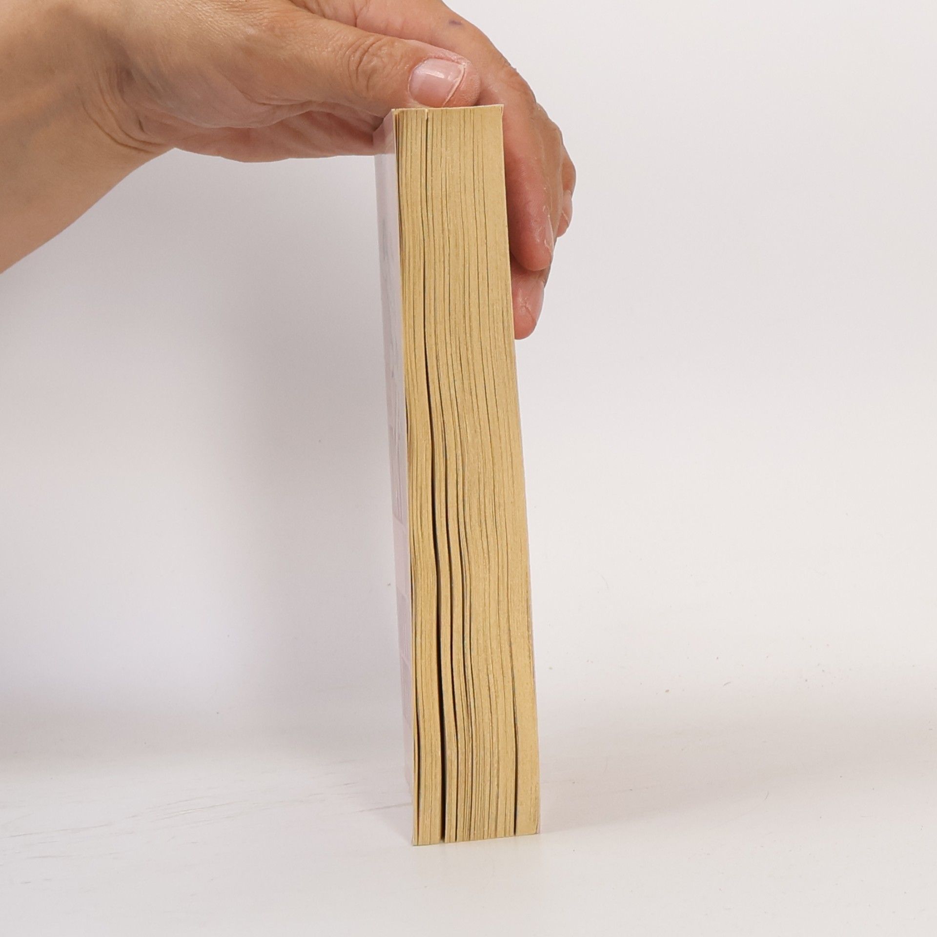 Georg Seeßlen Lexikon der erotischen Literatur