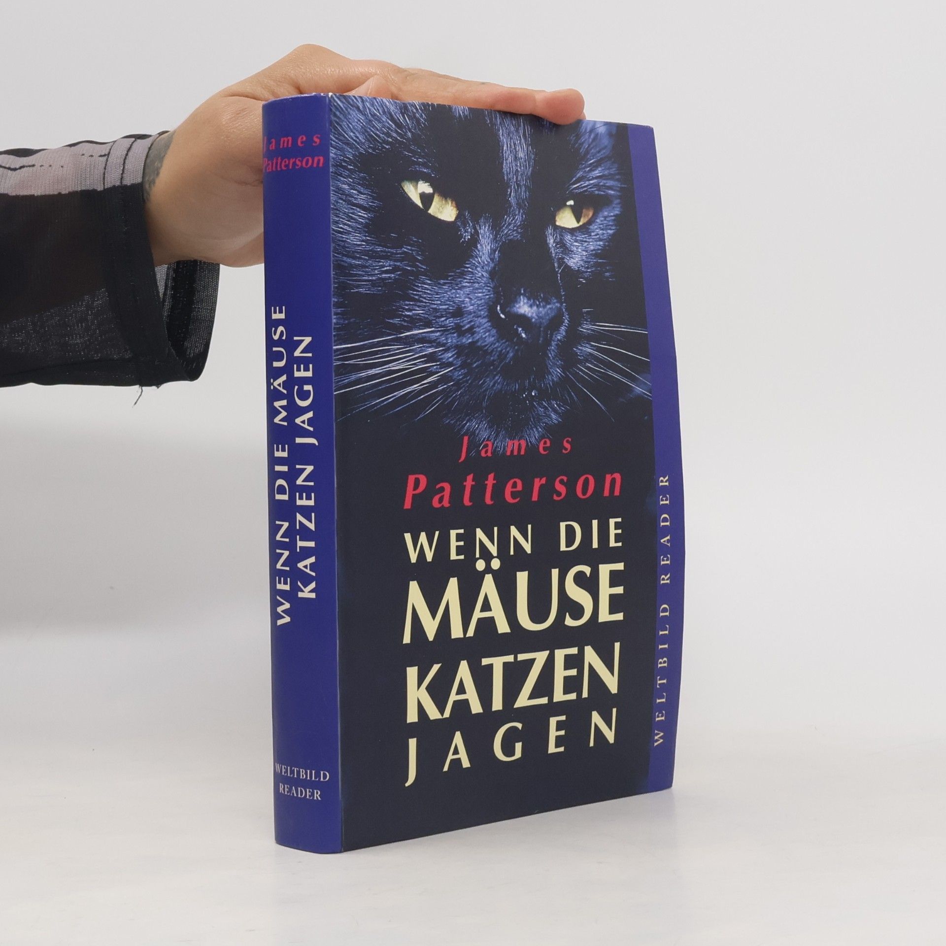 James Patterson Wenn die Mäuse Katzen jagen