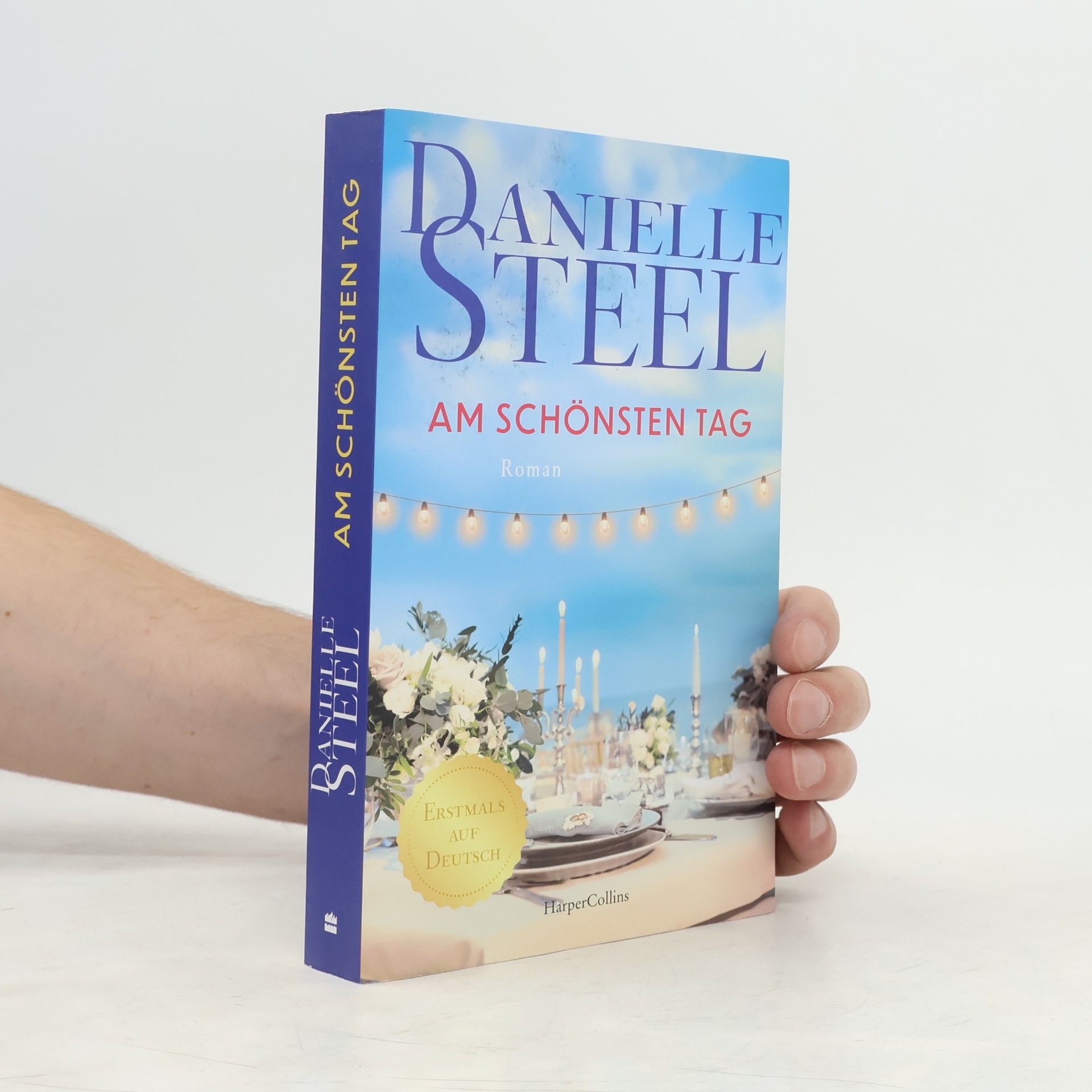 Danielle Steel Am schönsten Tag