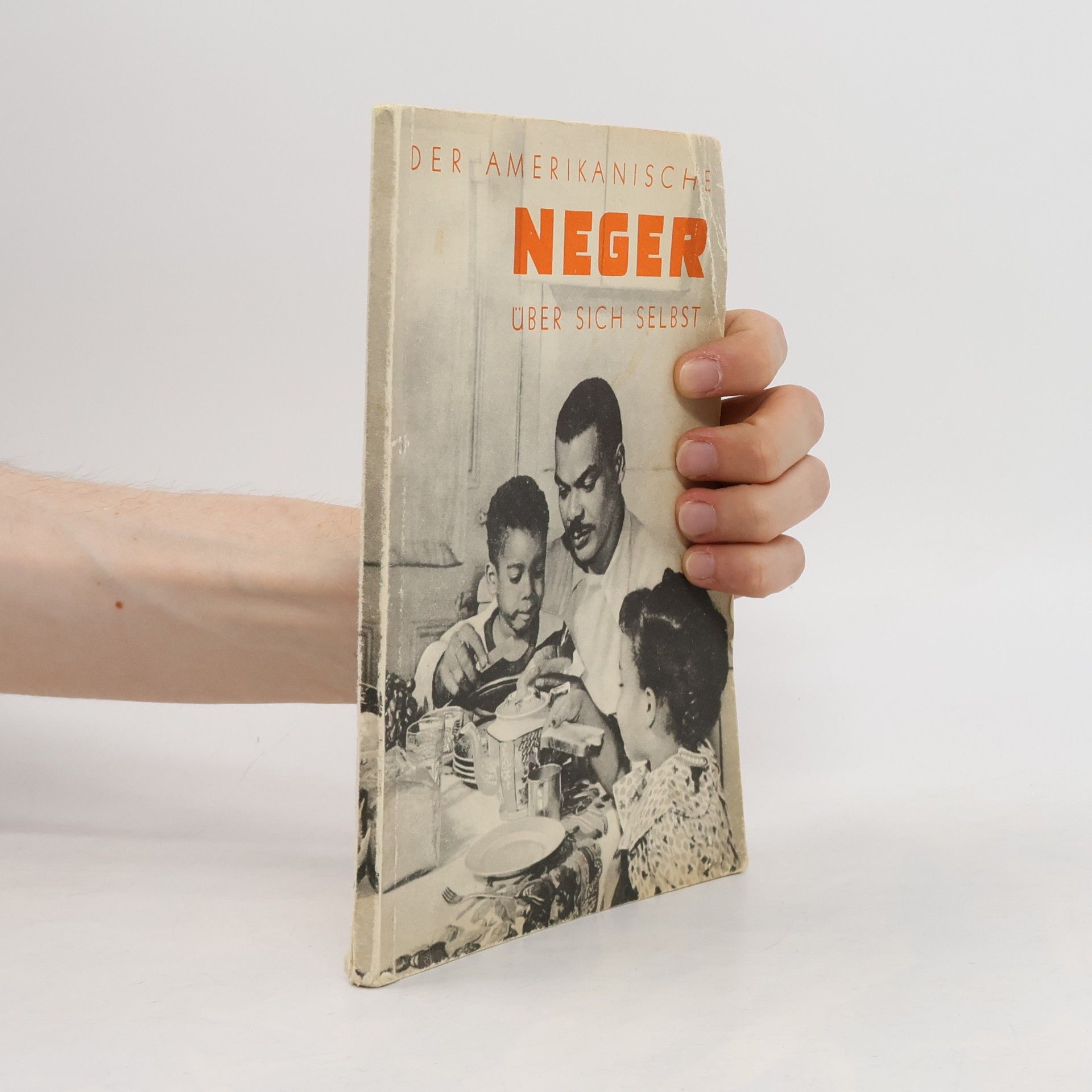 Autorenkollektiv Der Amerikanische Neger über sich selbst