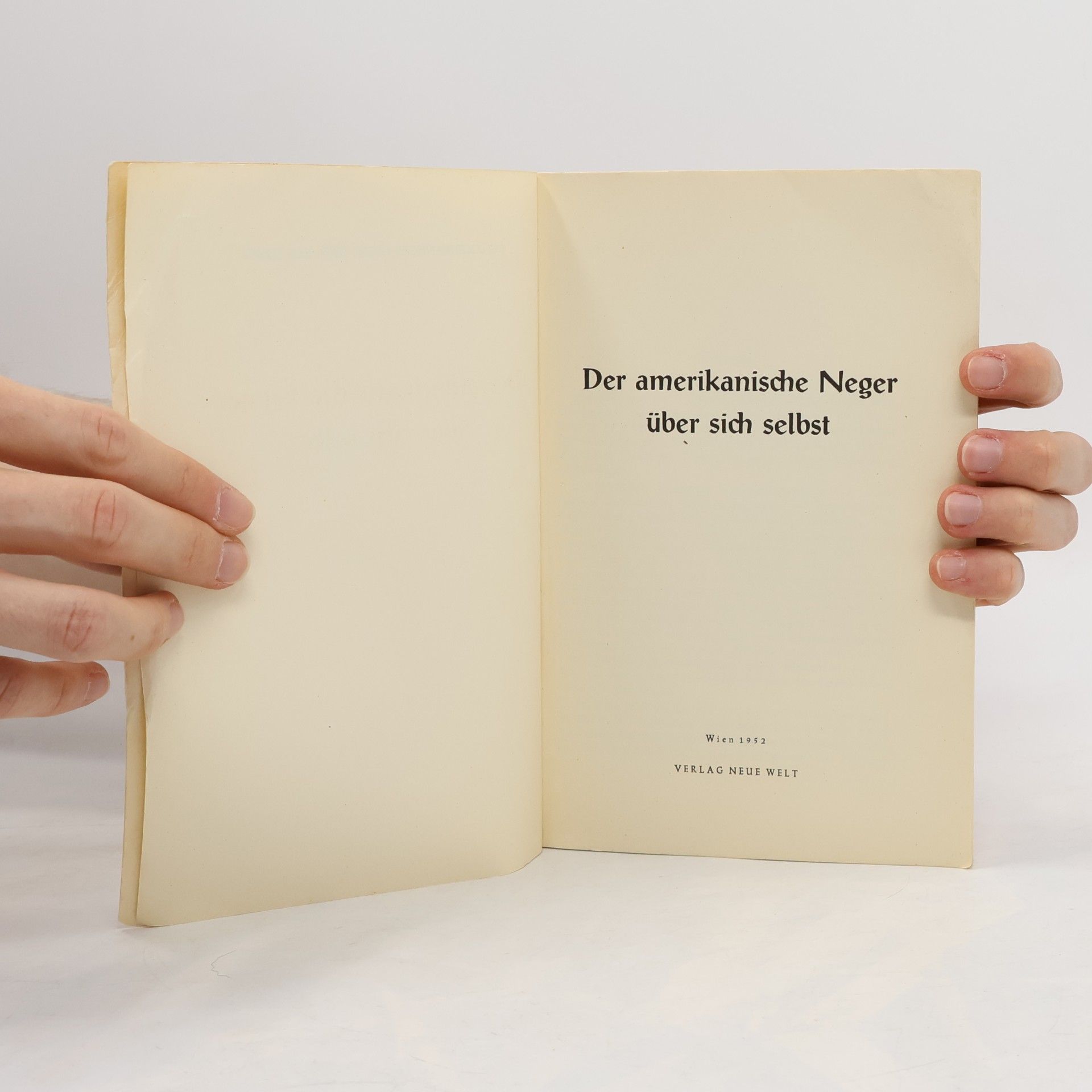 Autorenkollektiv Der Amerikanische Neger über sich selbst