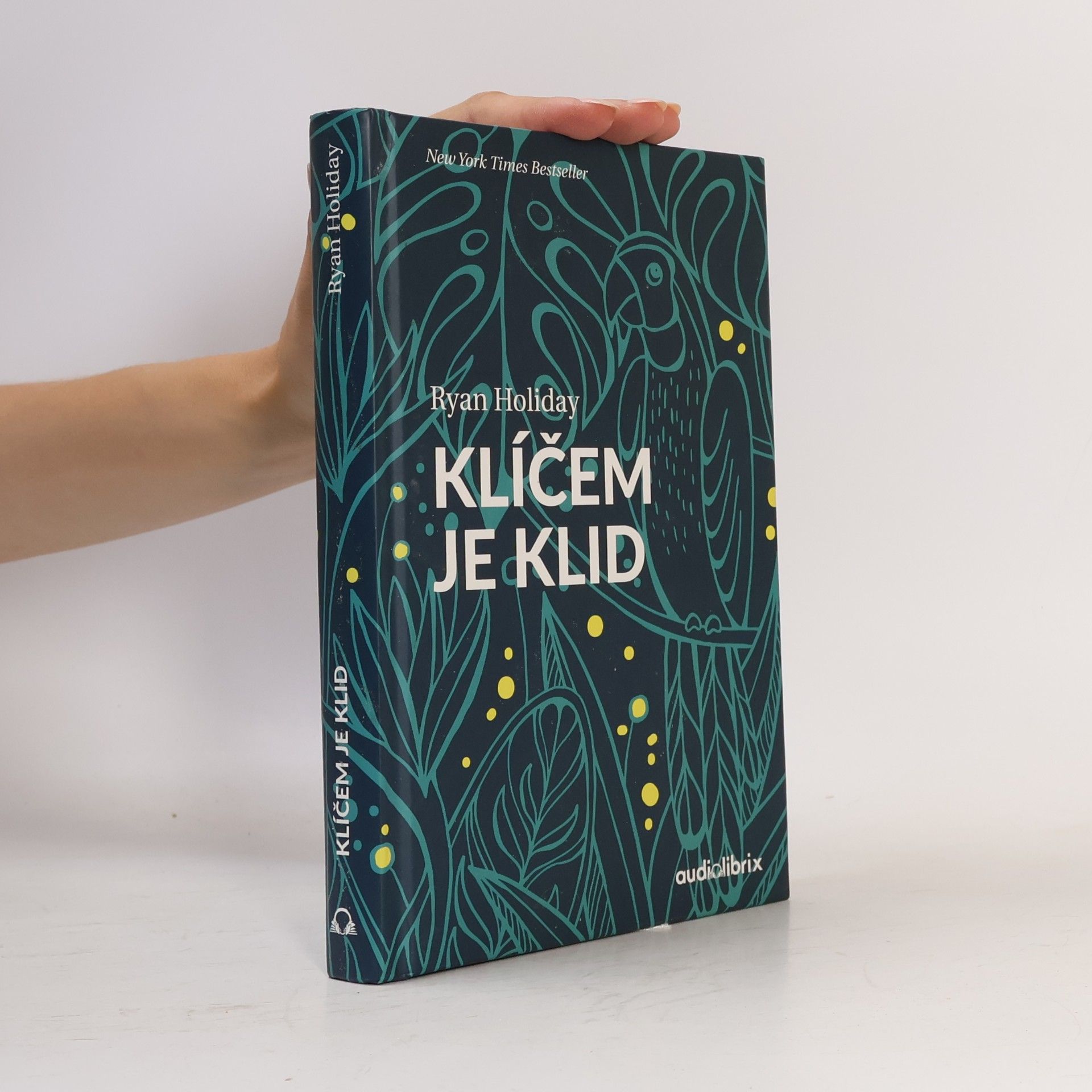 Ryan Holiday Klíčem je klid