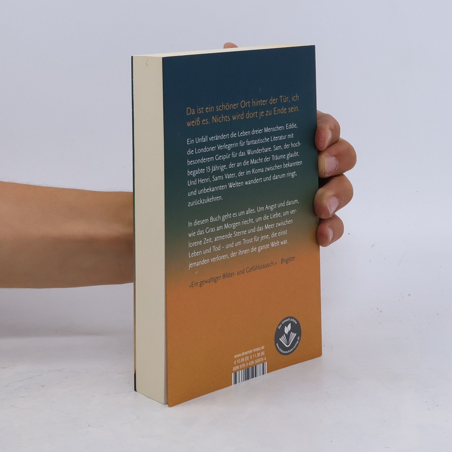 Nina George Das Traumbuch