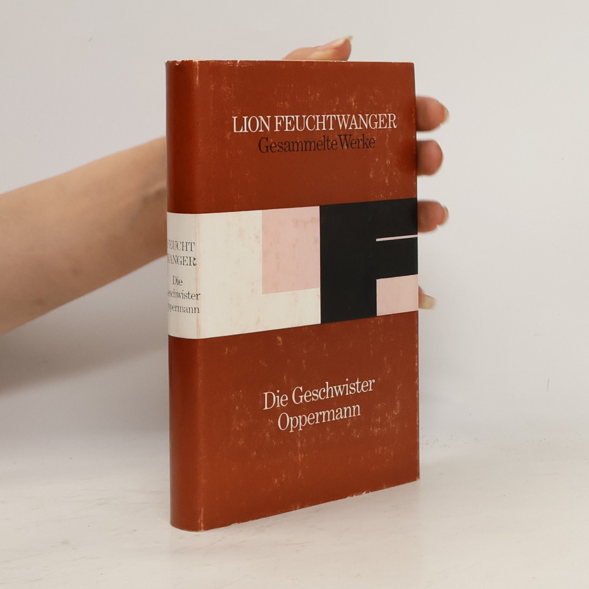 Lion Feuchtwanger Die Geschwister Oppermann
