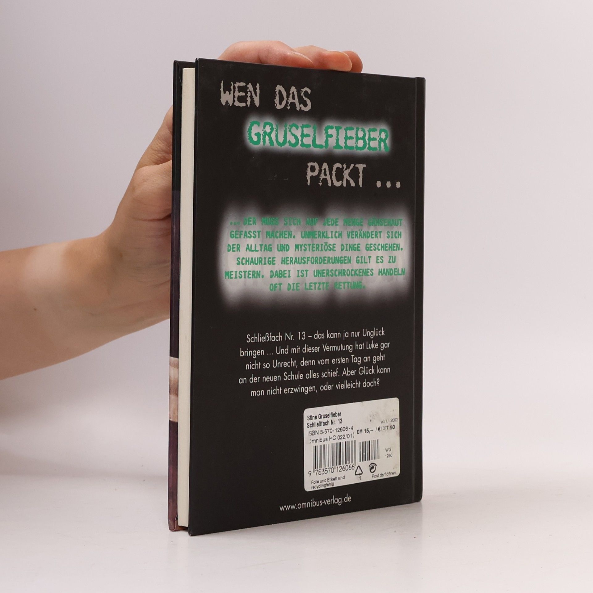 R. L. Stine Schließfach Nr.13