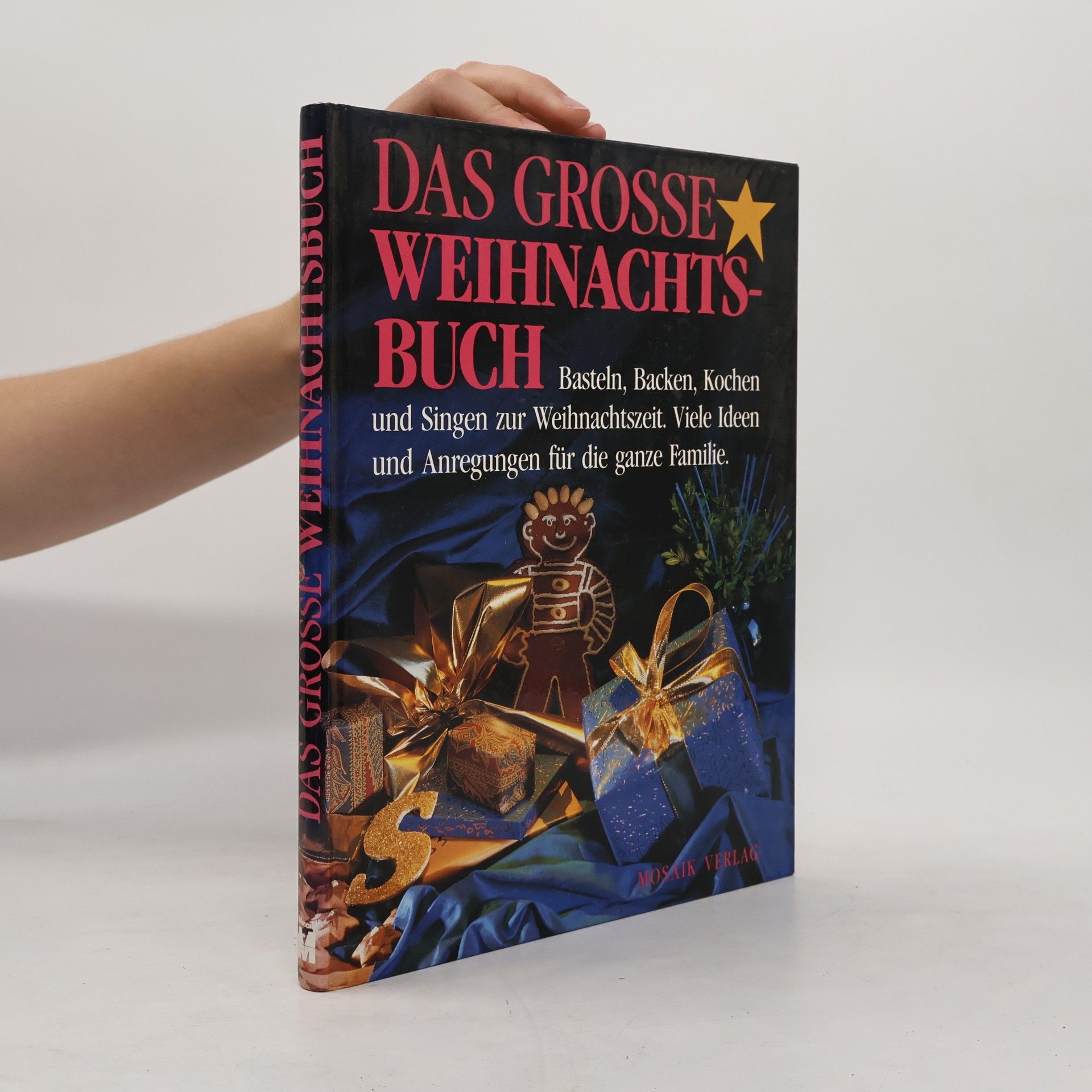 Kolektiv autorů Das große Weihnachtsbuch