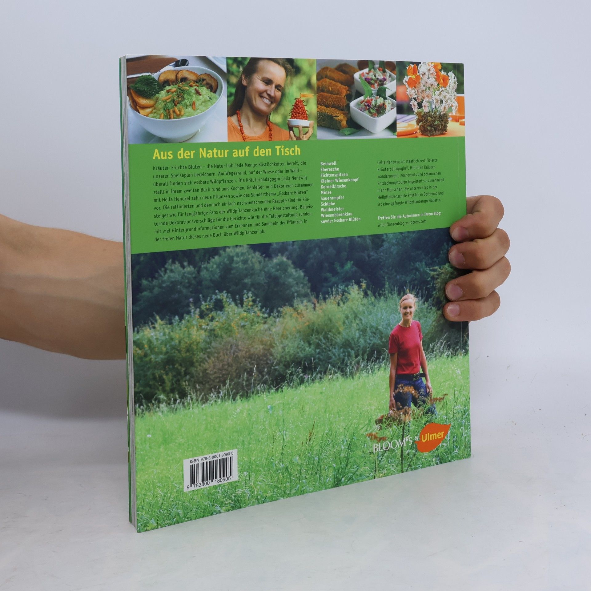 Celia Nentwig Meine neuen Wildpflanzen-Rezepte