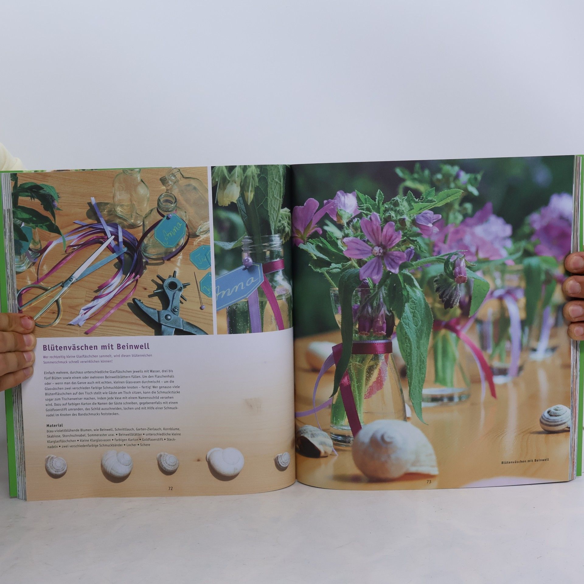 Celia Nentwig Meine neuen Wildpflanzen-Rezepte