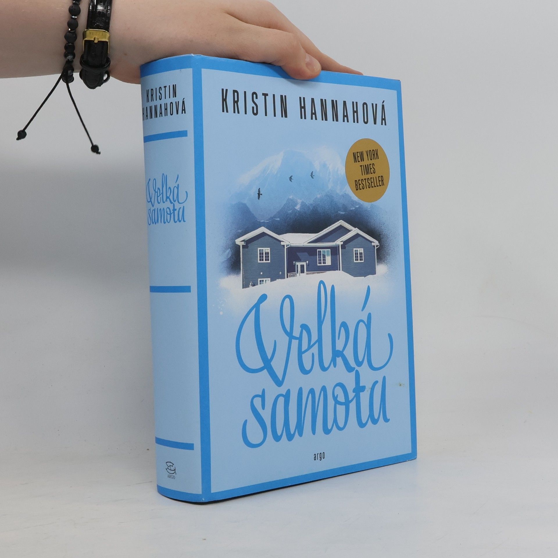 Kristin Hannah Velká samota