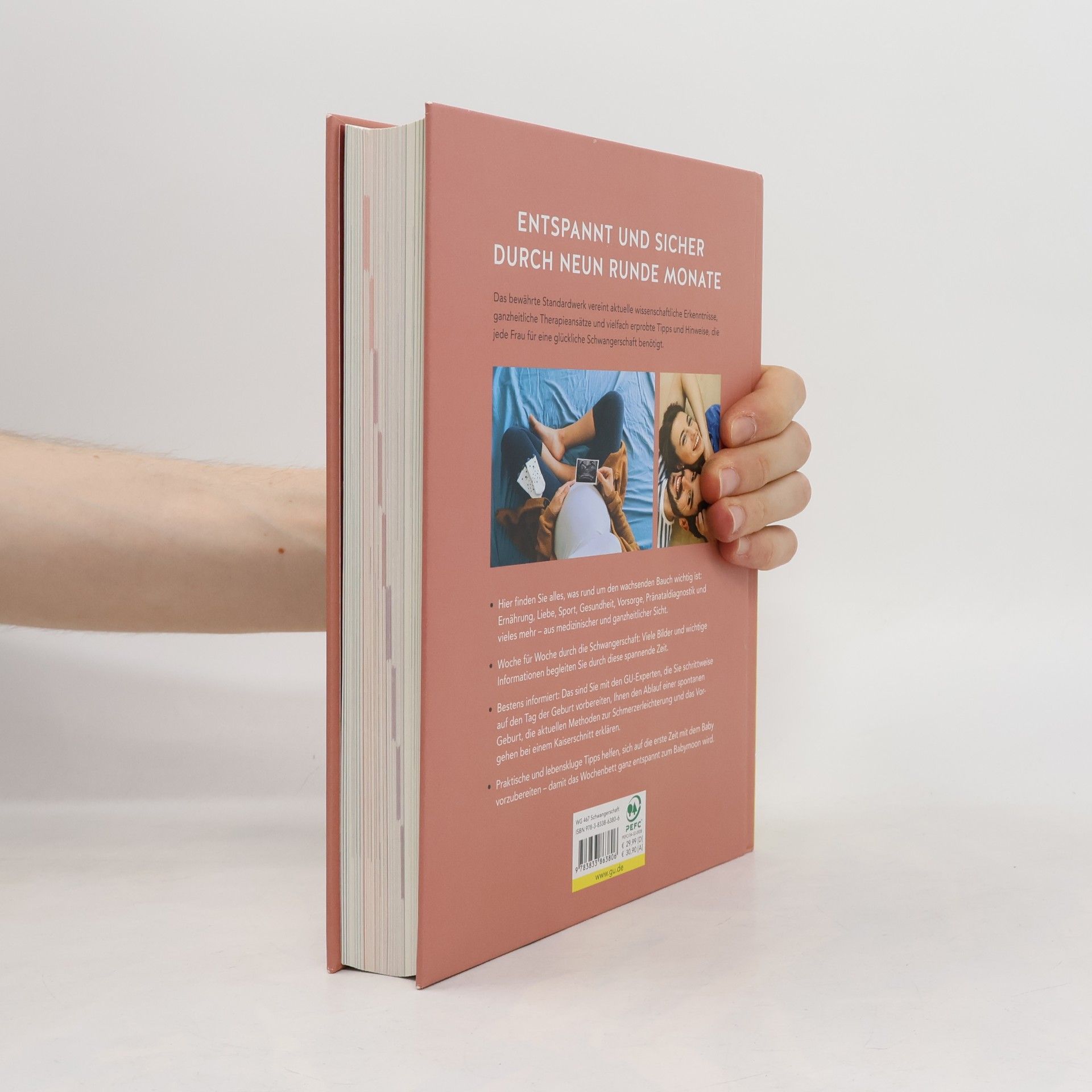 Franz Kain Das grosse Buch zur Schwangerschaft