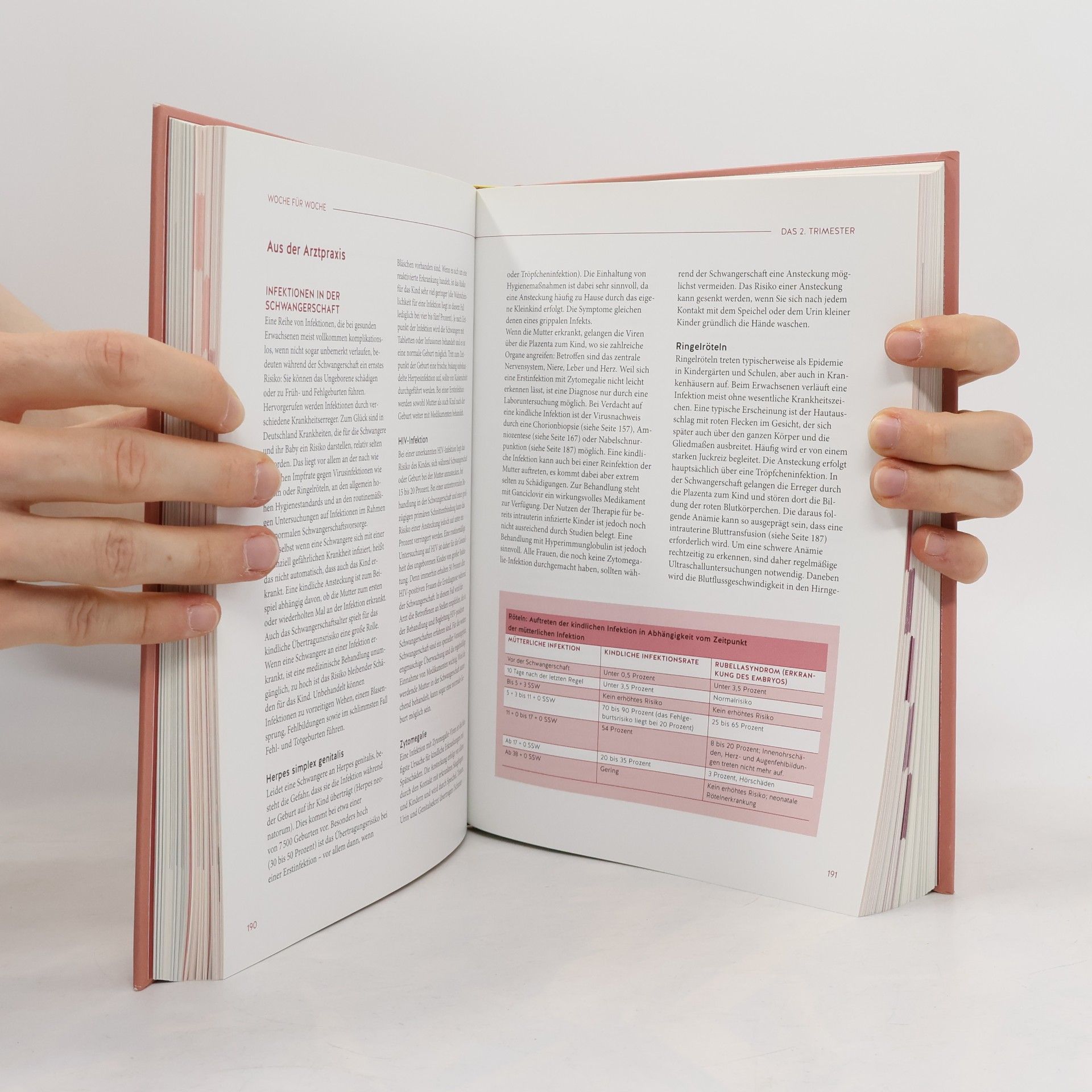Franz Kain Das grosse Buch zur Schwangerschaft