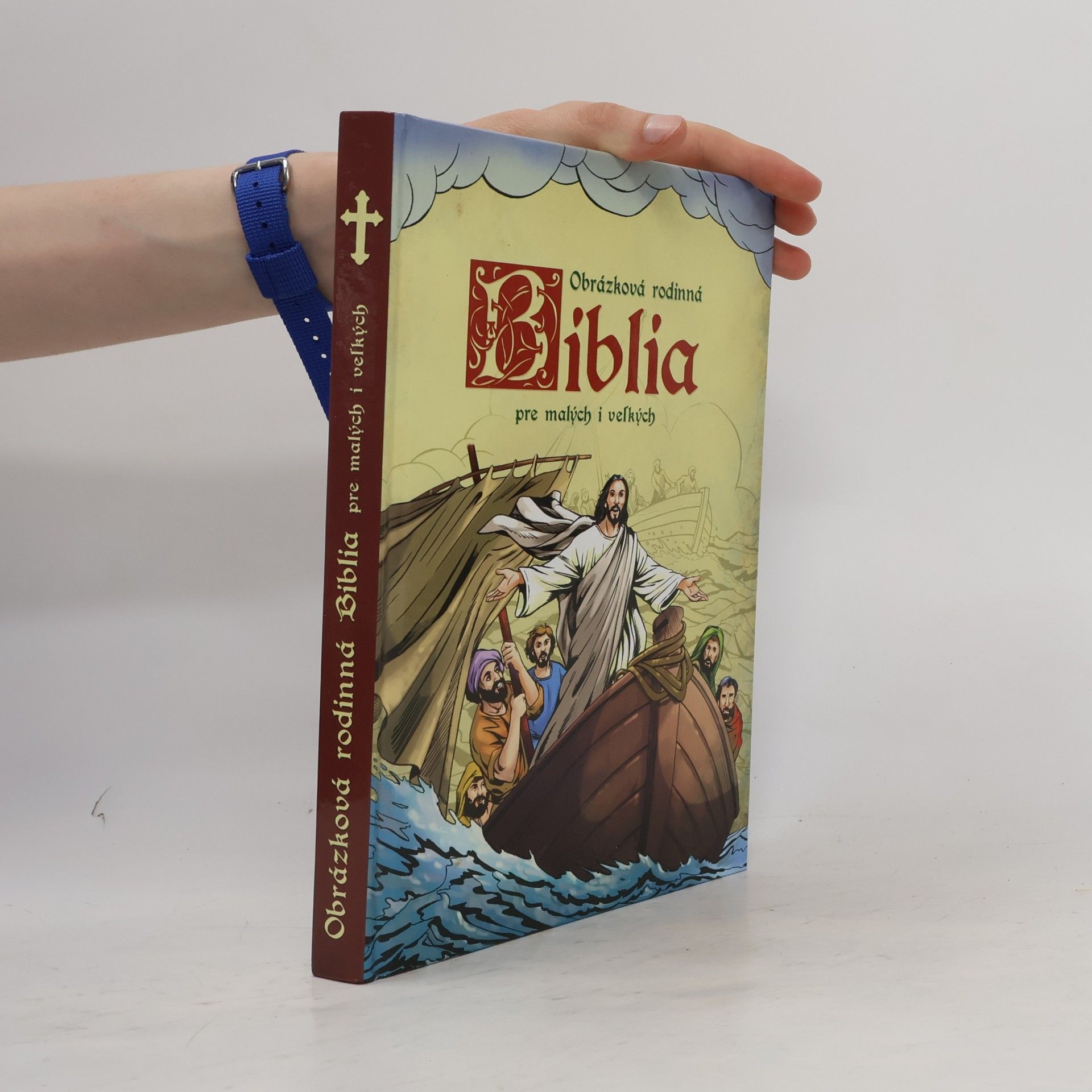 Emese Sipos Obrázková rodinná Biblia pre malých i veľkých