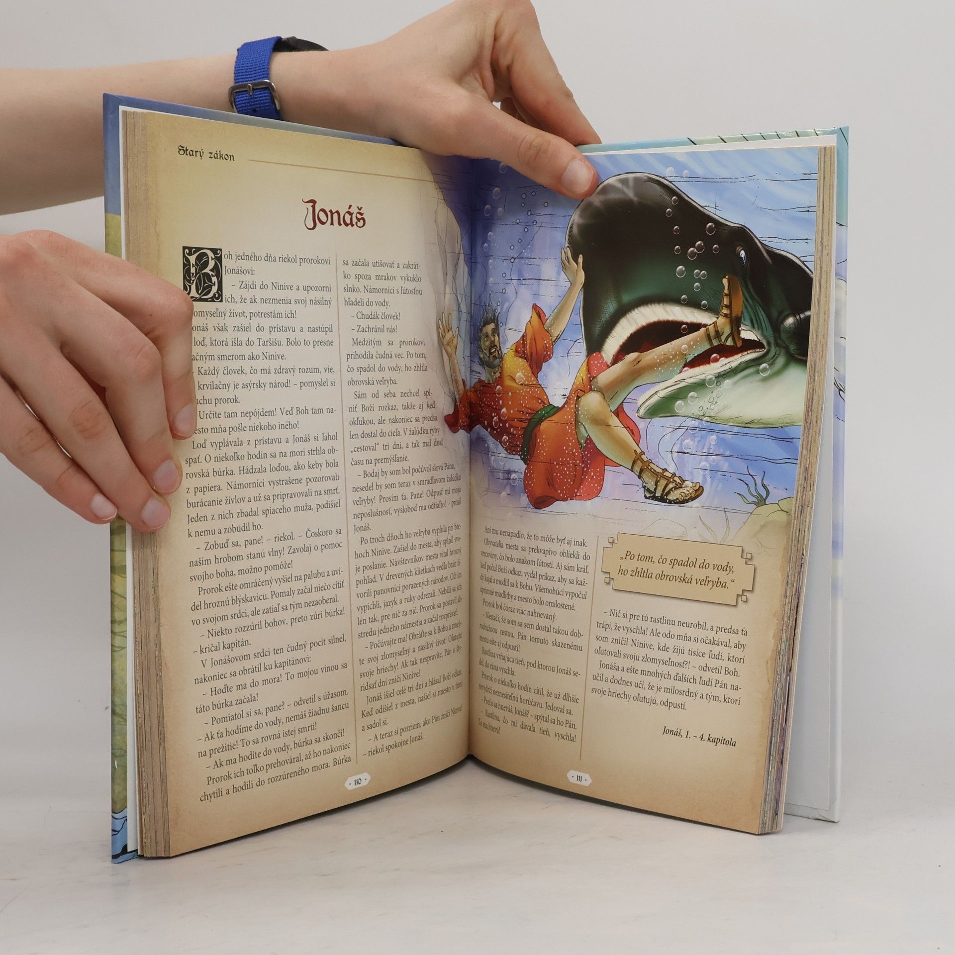Emese Sipos Obrázková rodinná Biblia pre malých i veľkých