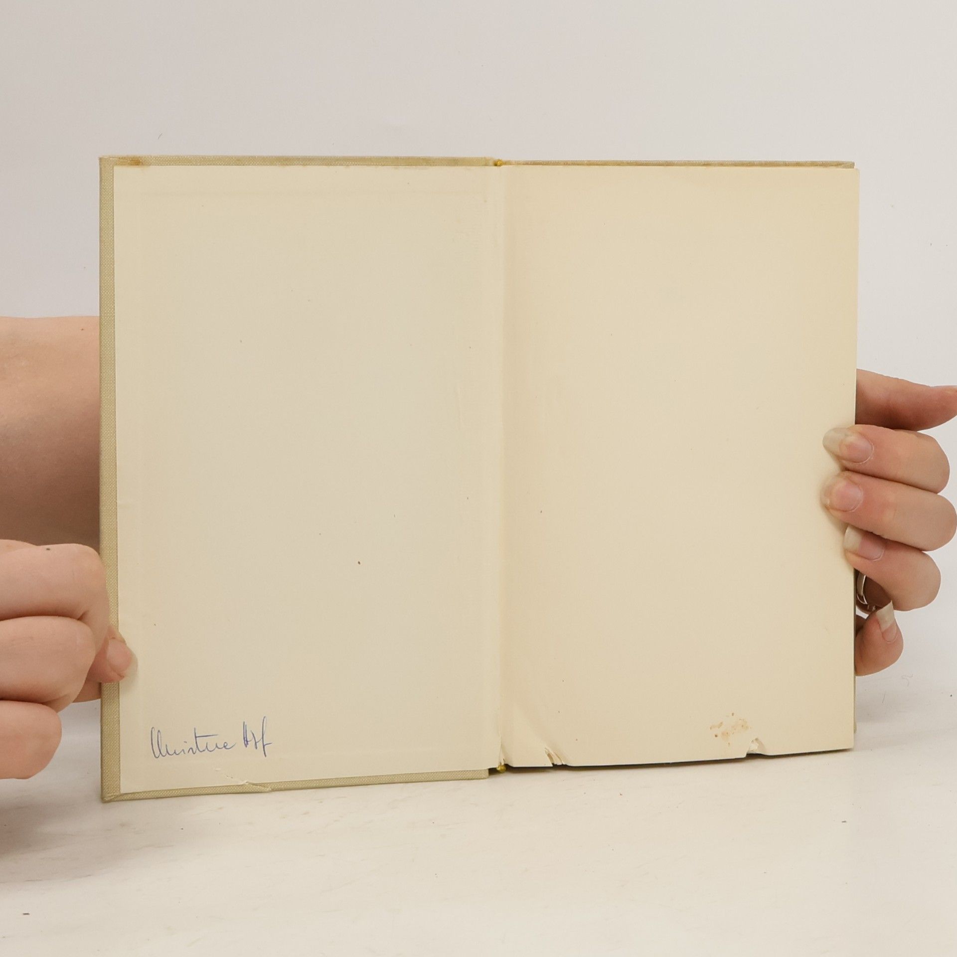 Ernst Wichert Der Exote
