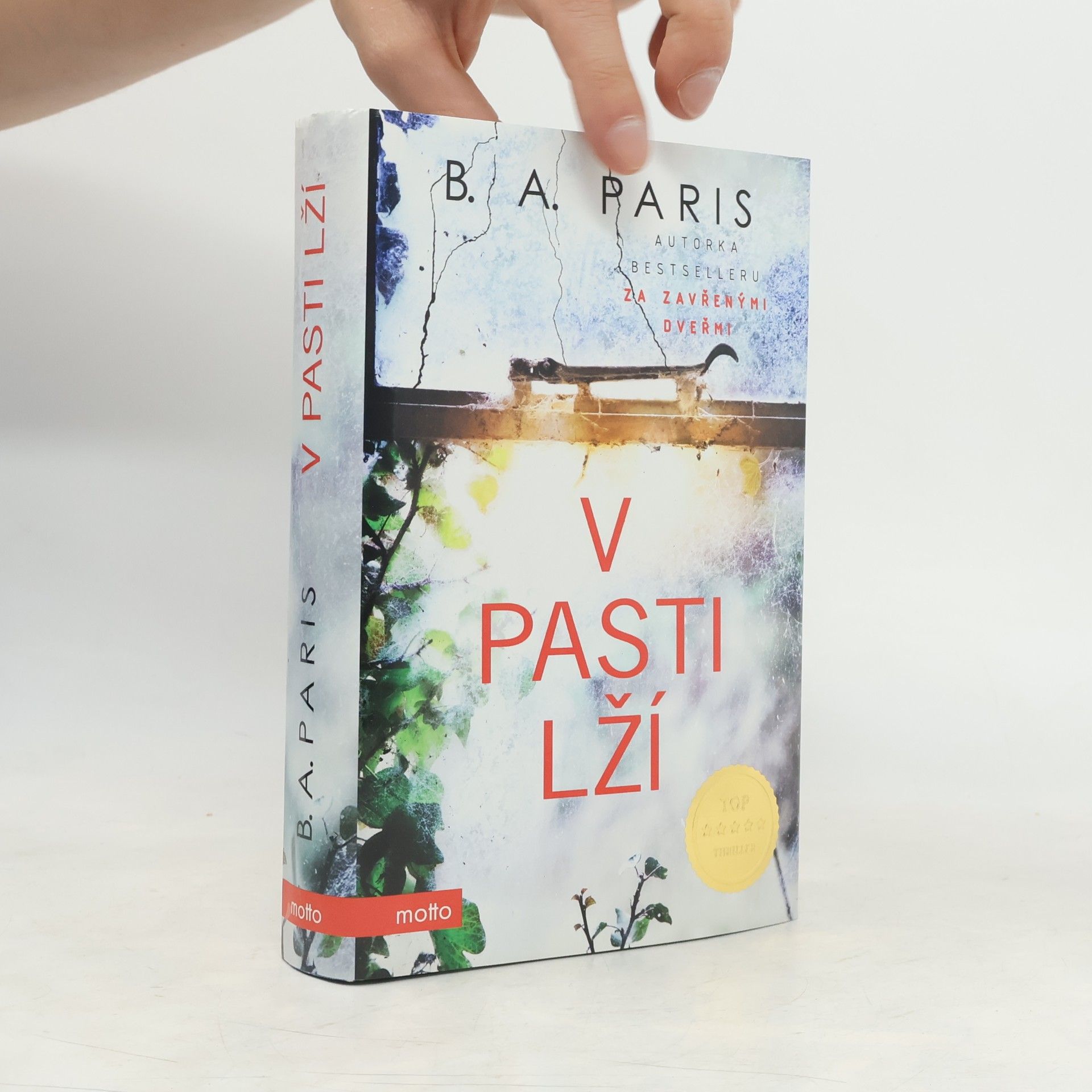 B. A. Paris V pasti lží