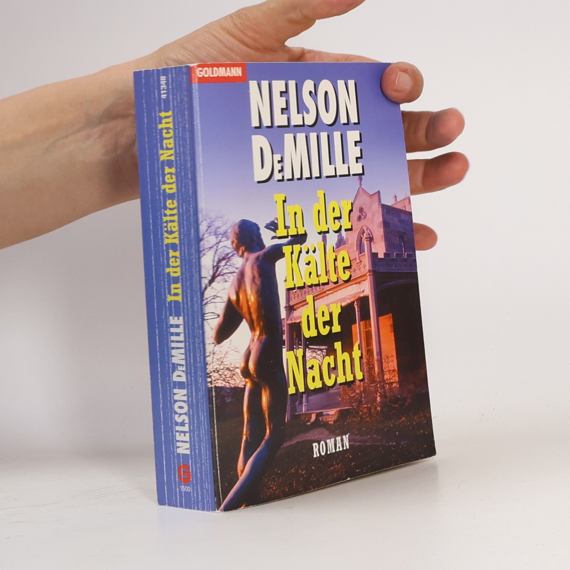 Nelson DeMille In der Kälte der Nacht