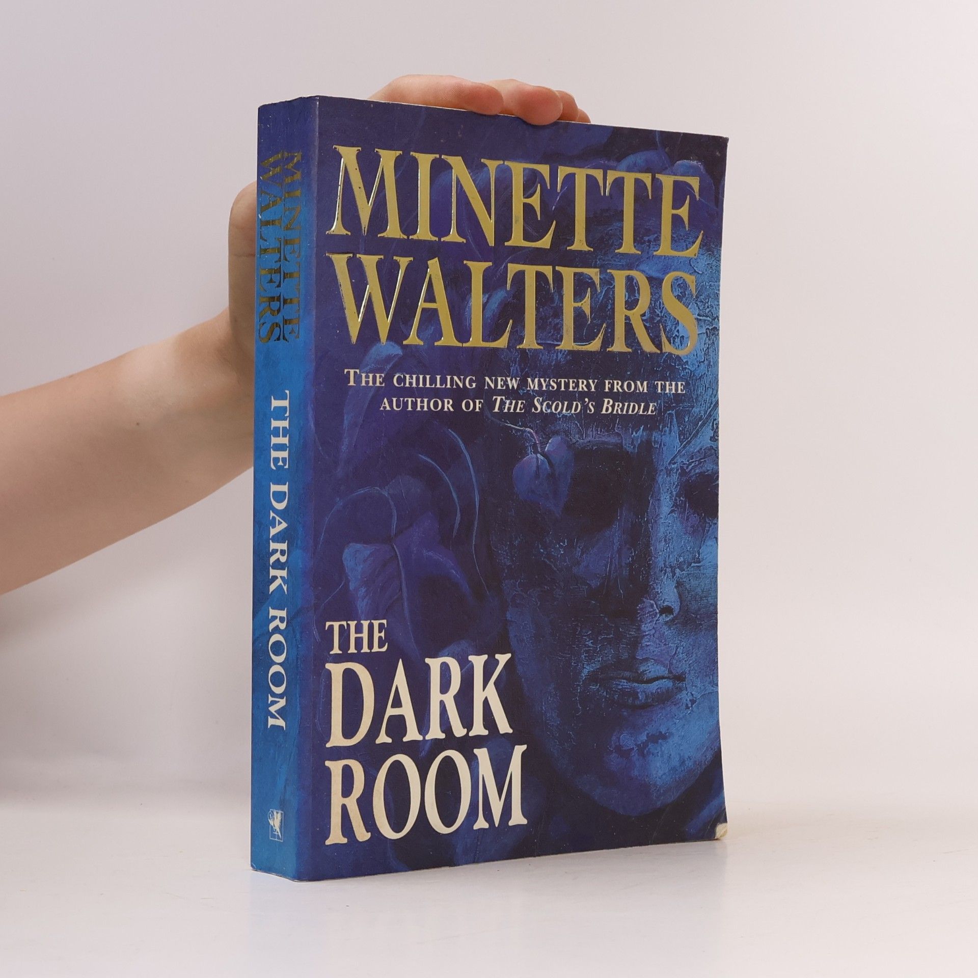 Minette Walter The Dark Room