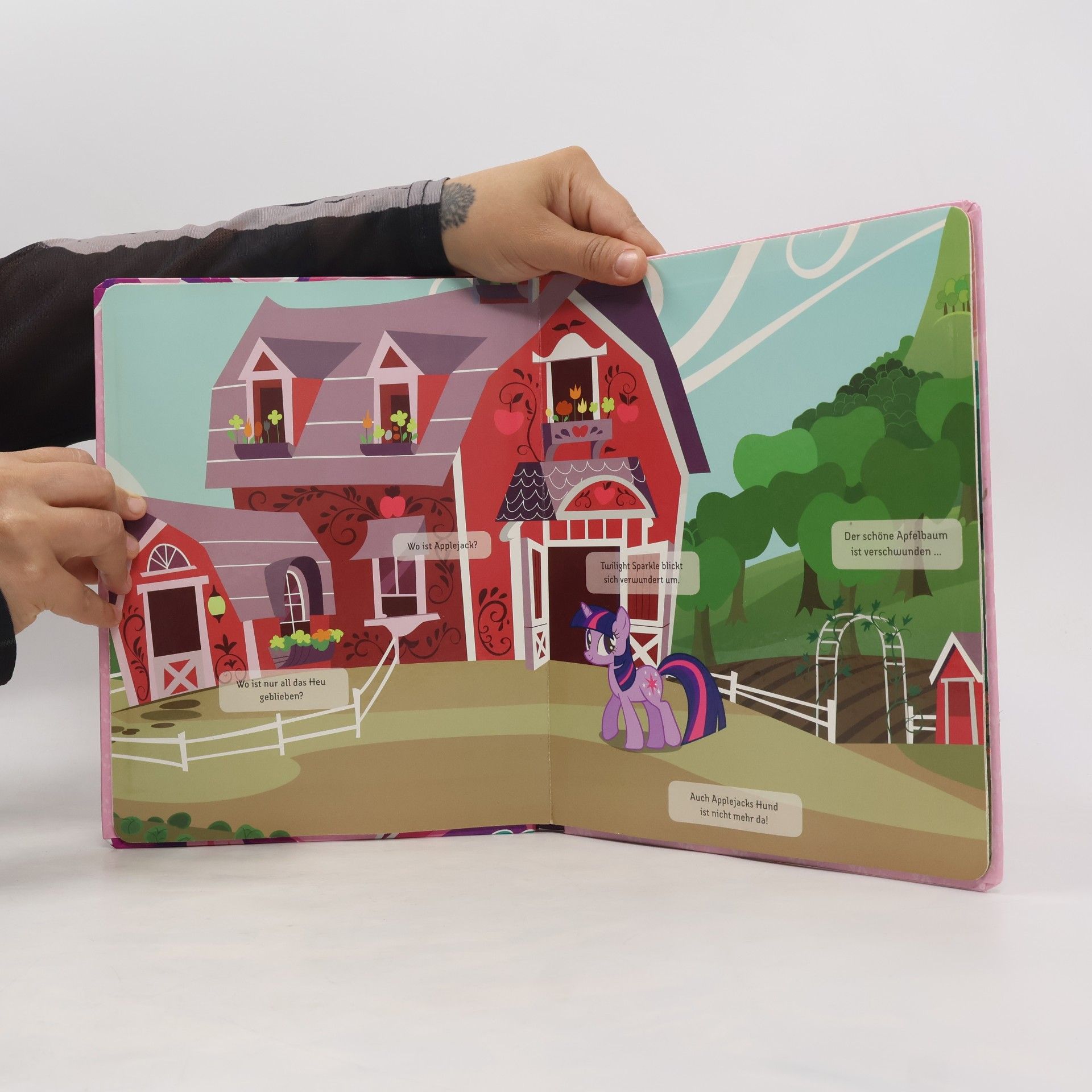 Collectif d'auteurs My Little Pony. Magnet Spiel Buch