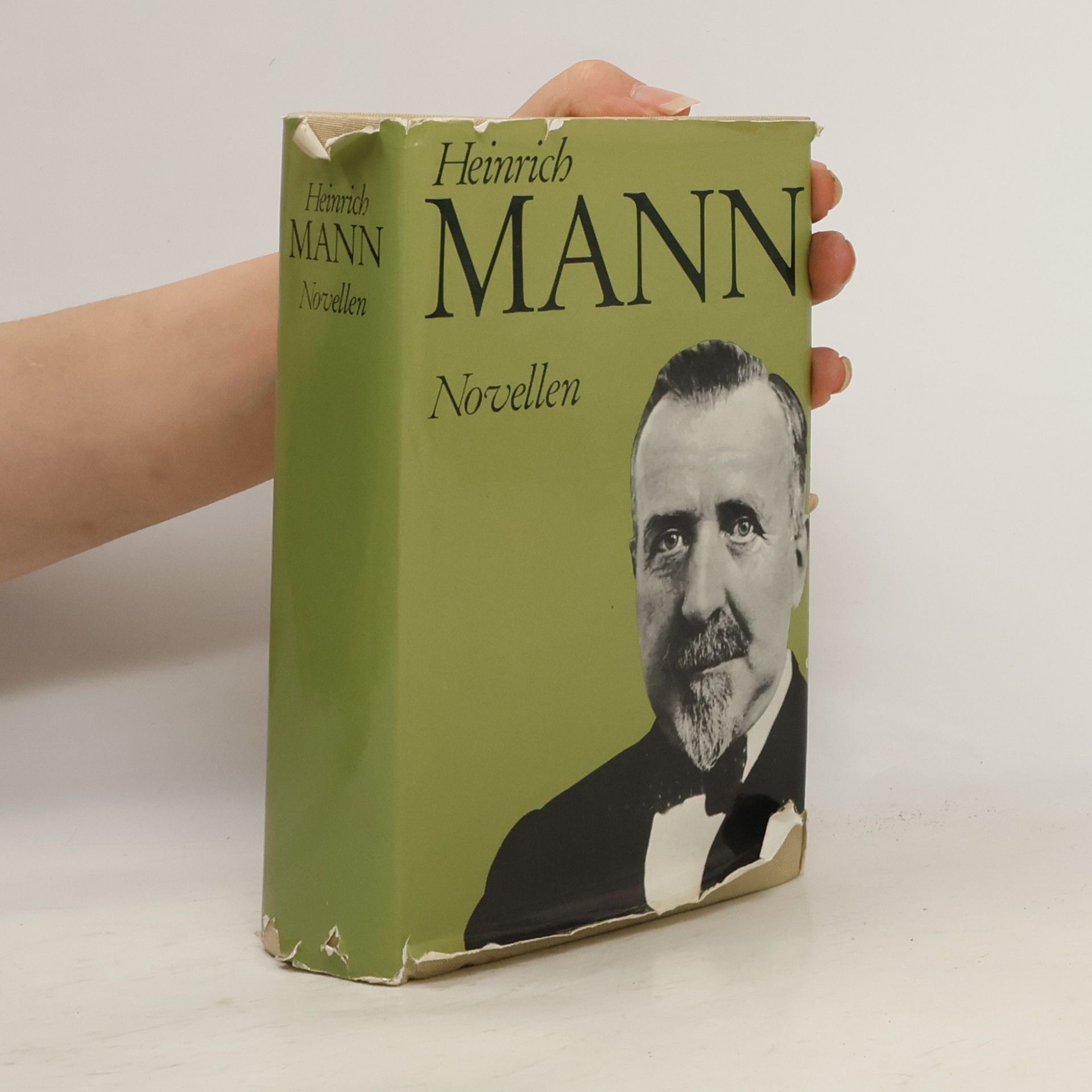 Heinrich Mann Novellen
