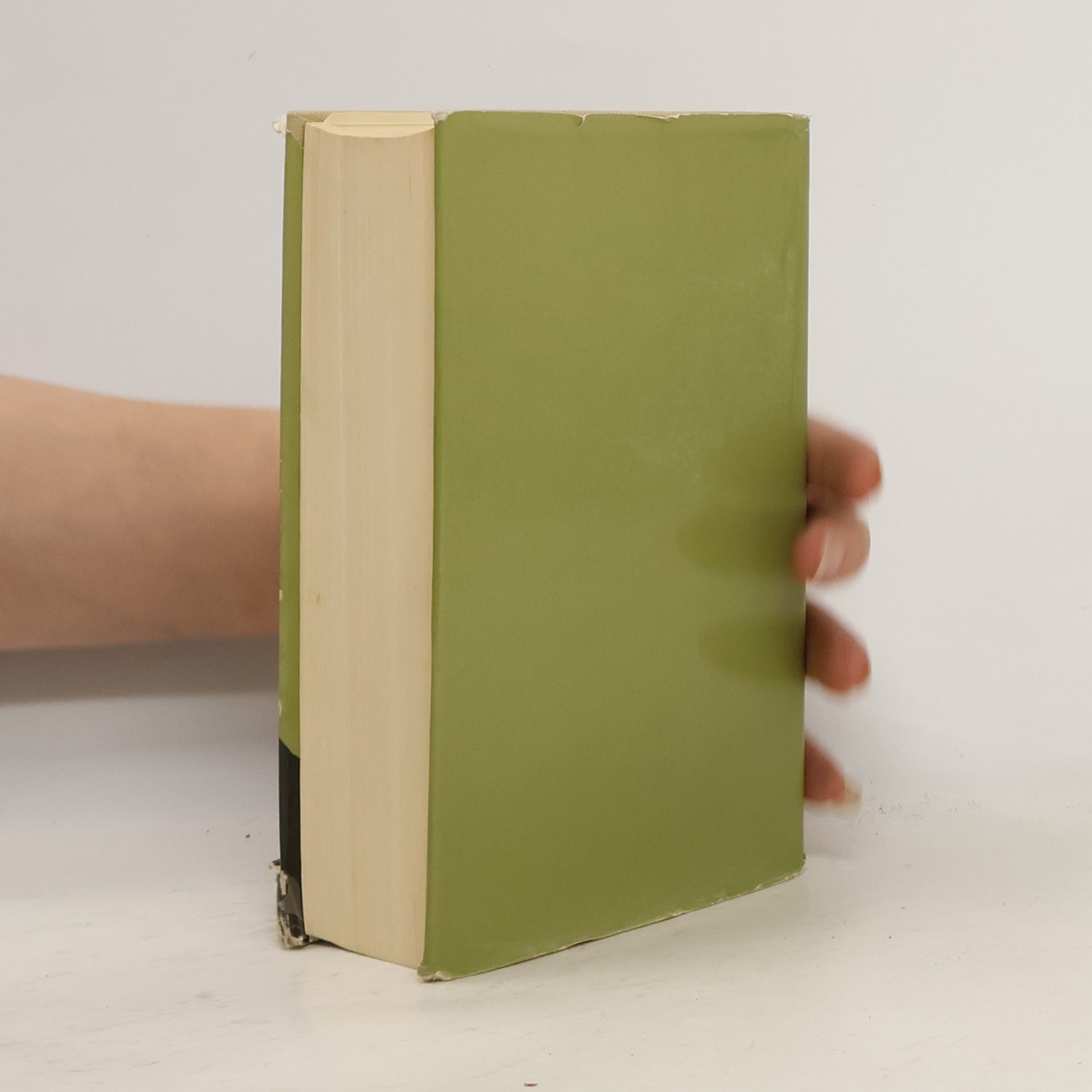 Heinrich Mann Novellen