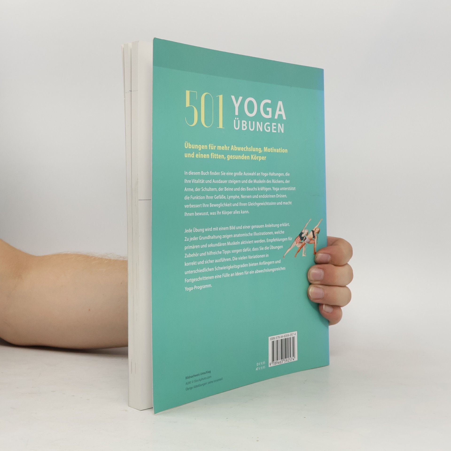 Nancy J. Hajeski 501 Yoga-Übungen