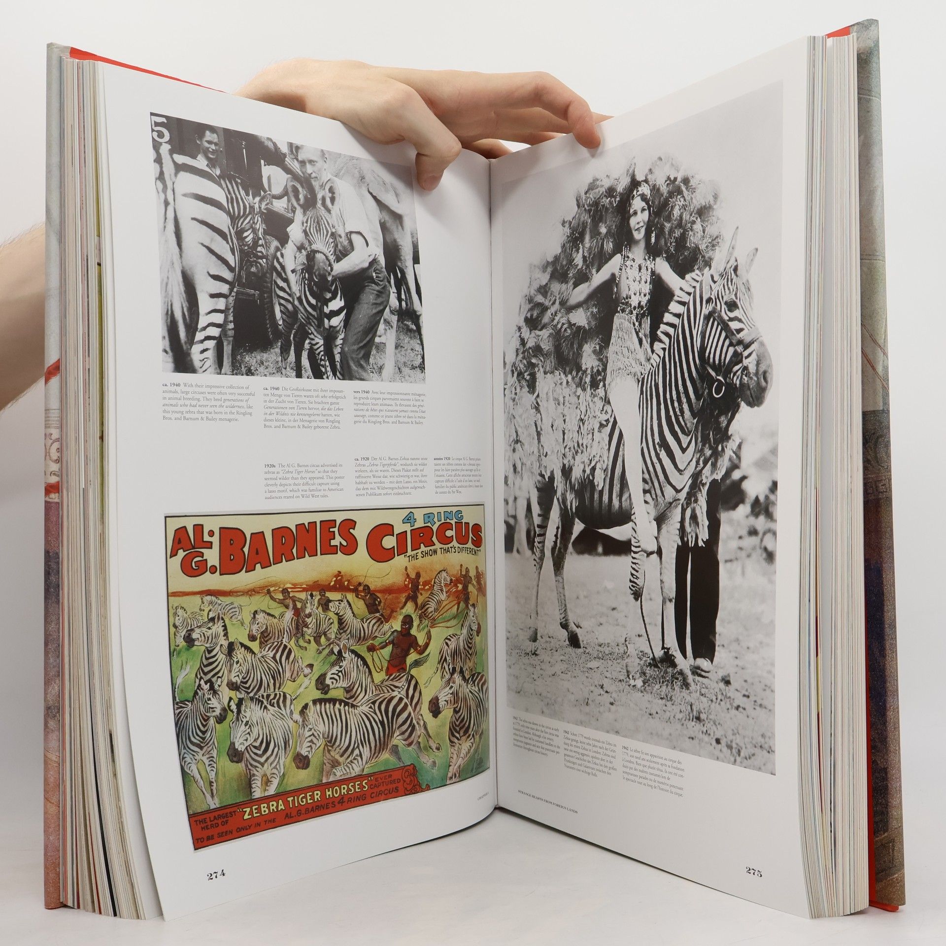 Noel Daniel The Circus