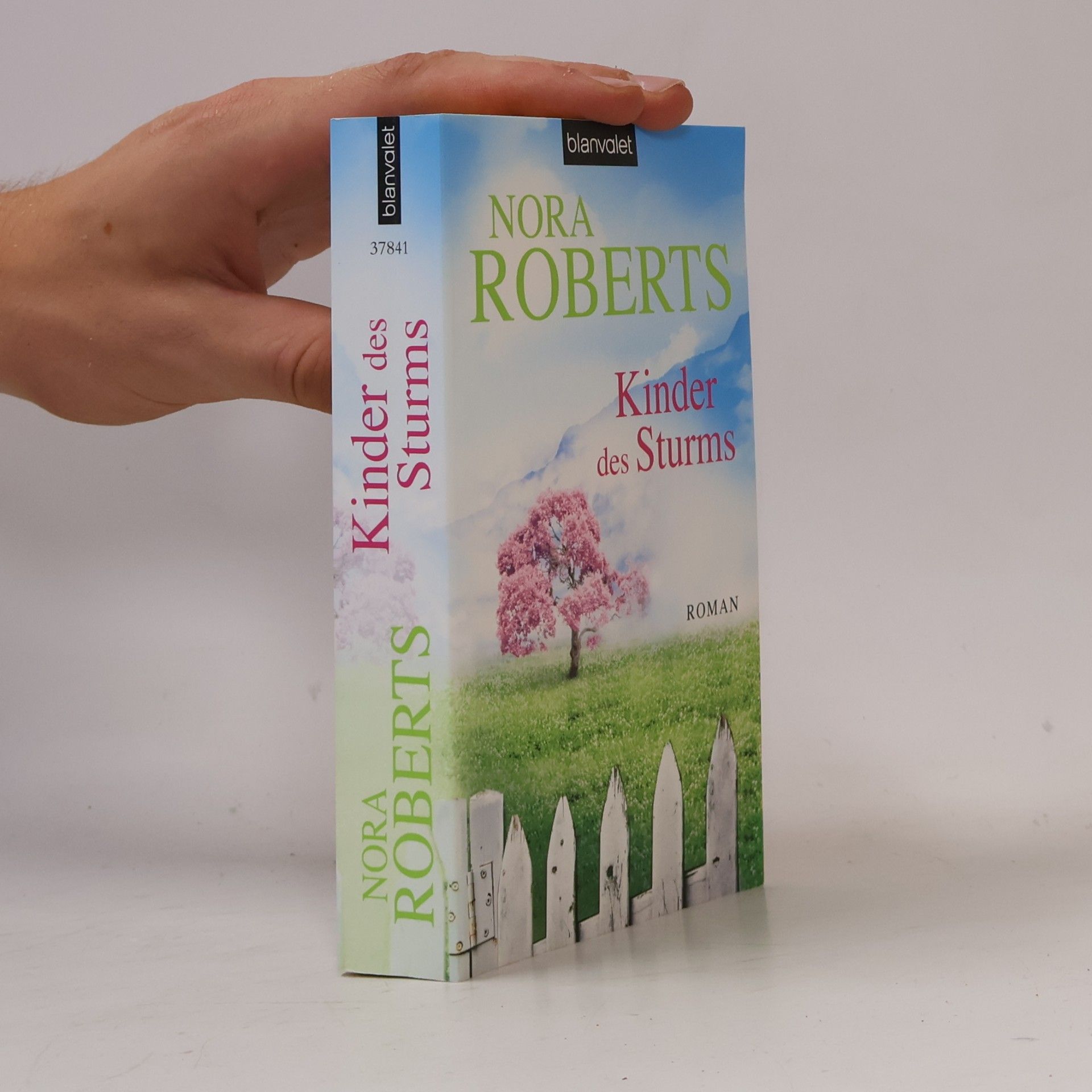 Nora Roberts Kinder des Sturms