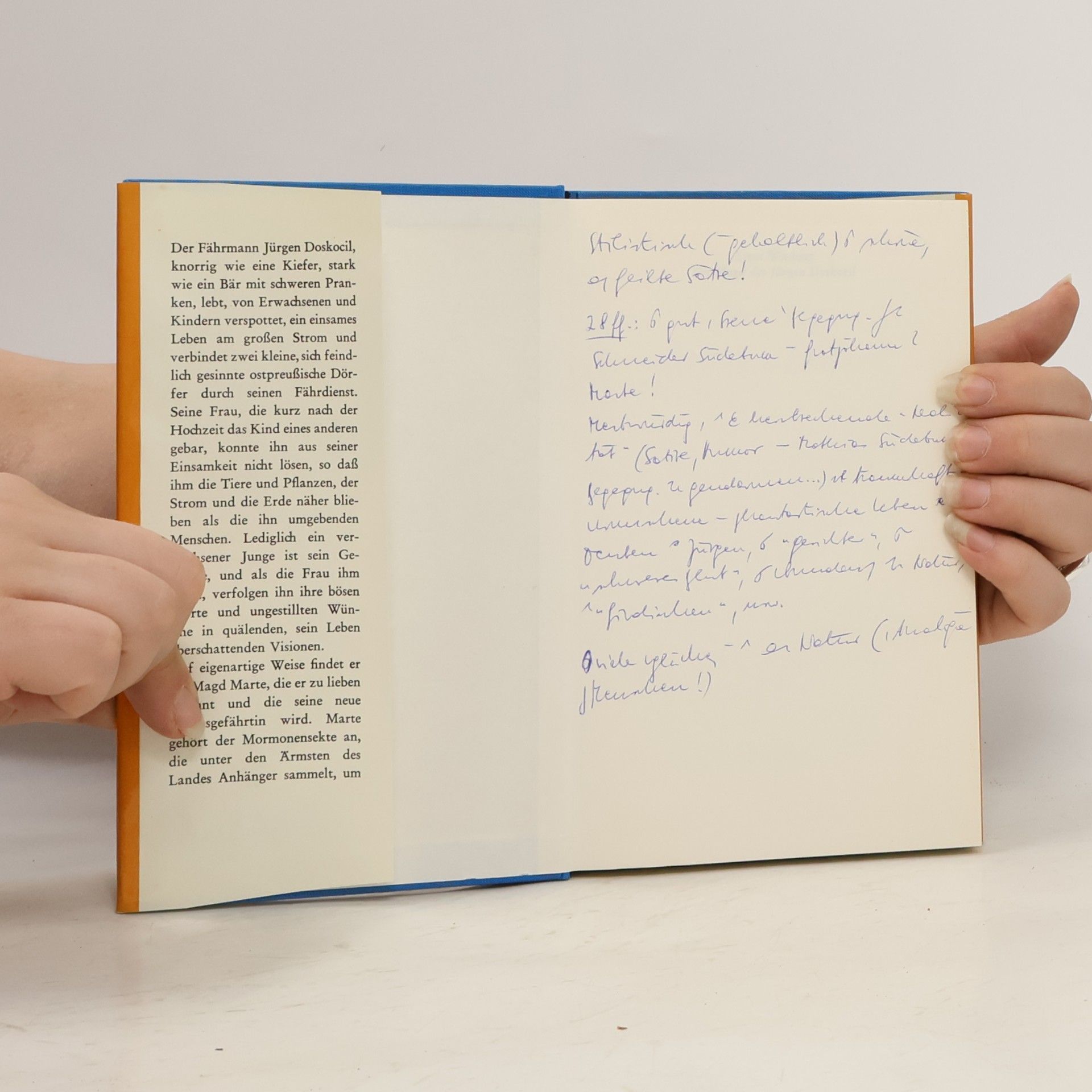 Ernst Wiechert Die Magd des Jürgen Doskocil