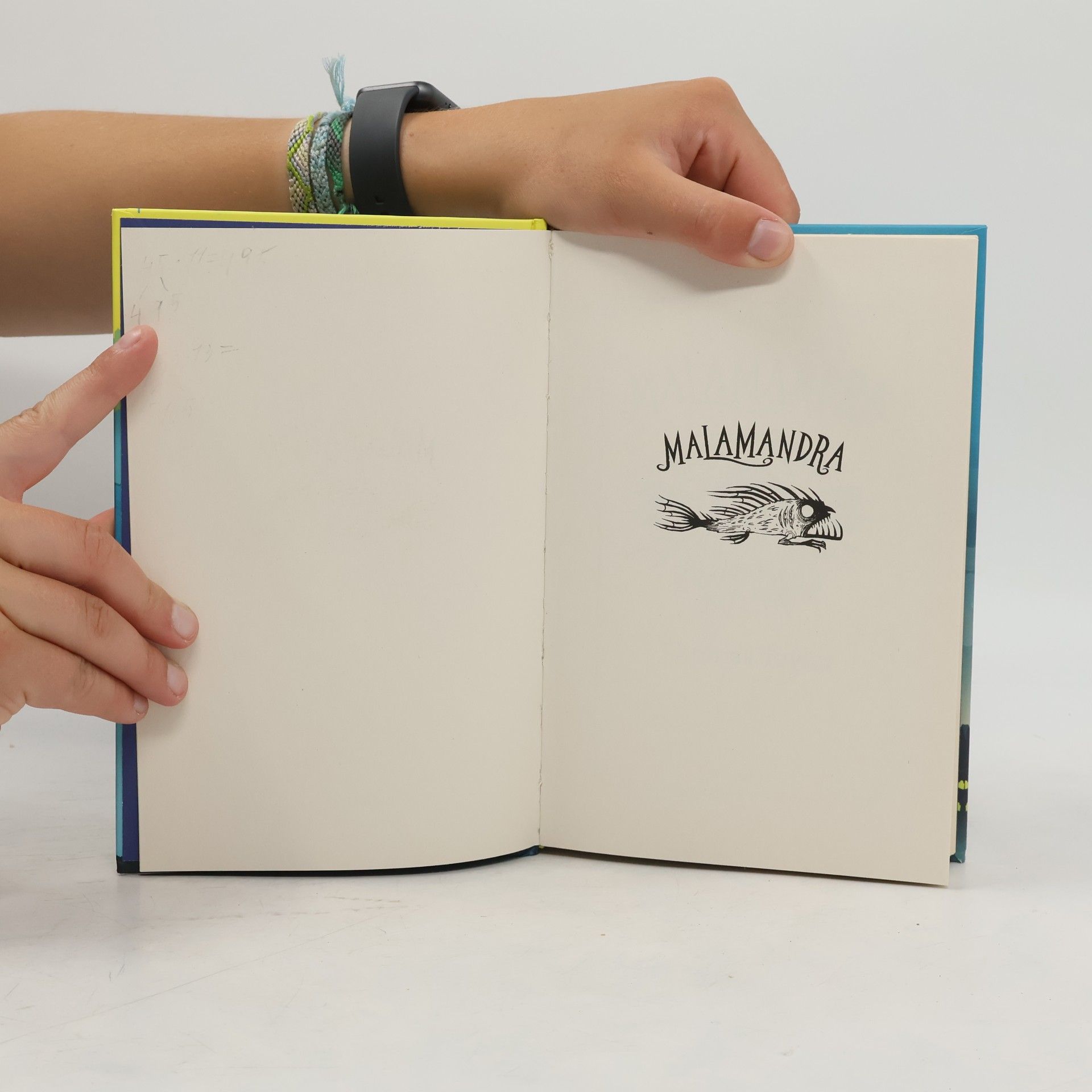 Thomas Taylor Malamandra
