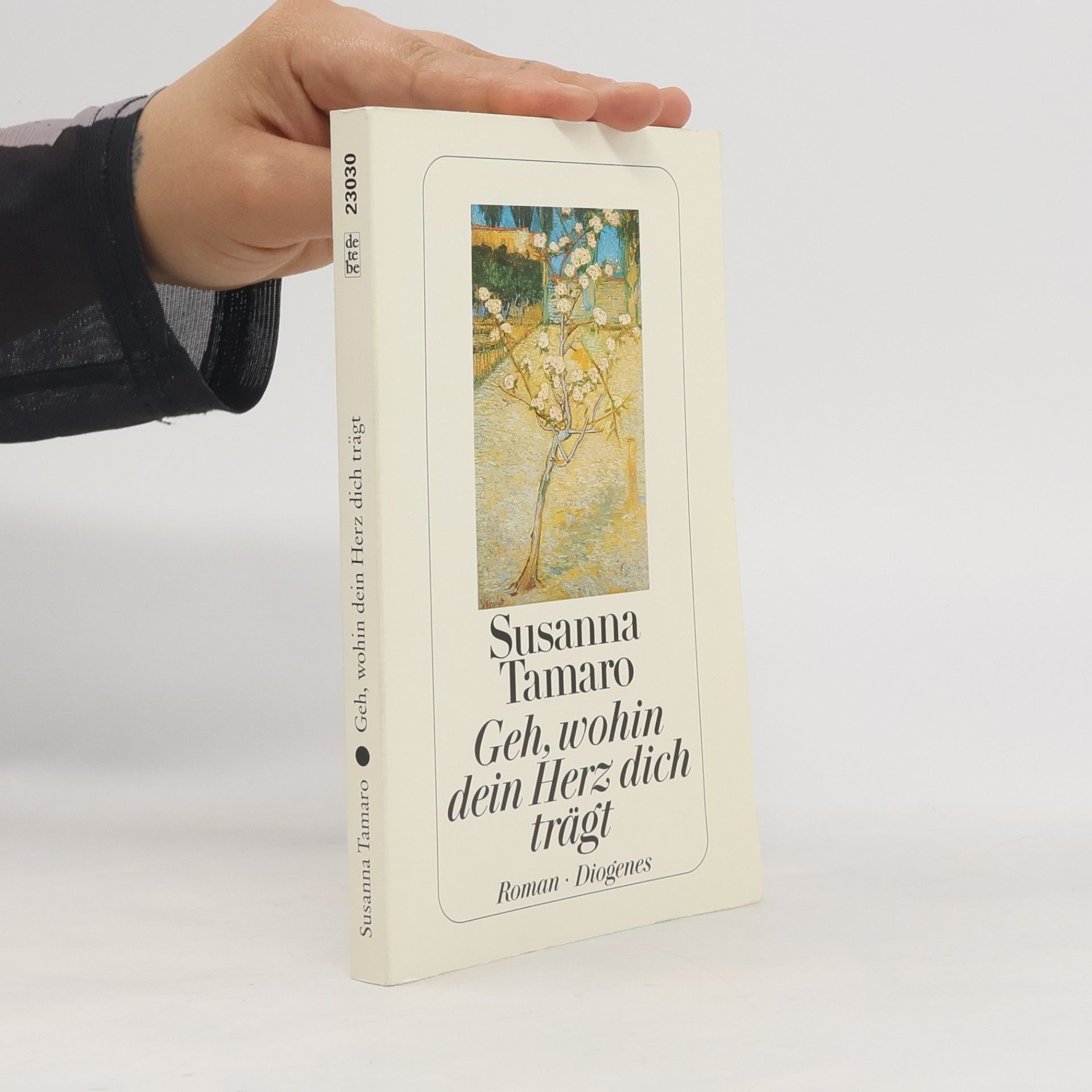 Susanna Tamaro Geh, wohin dein Herz dich trägt