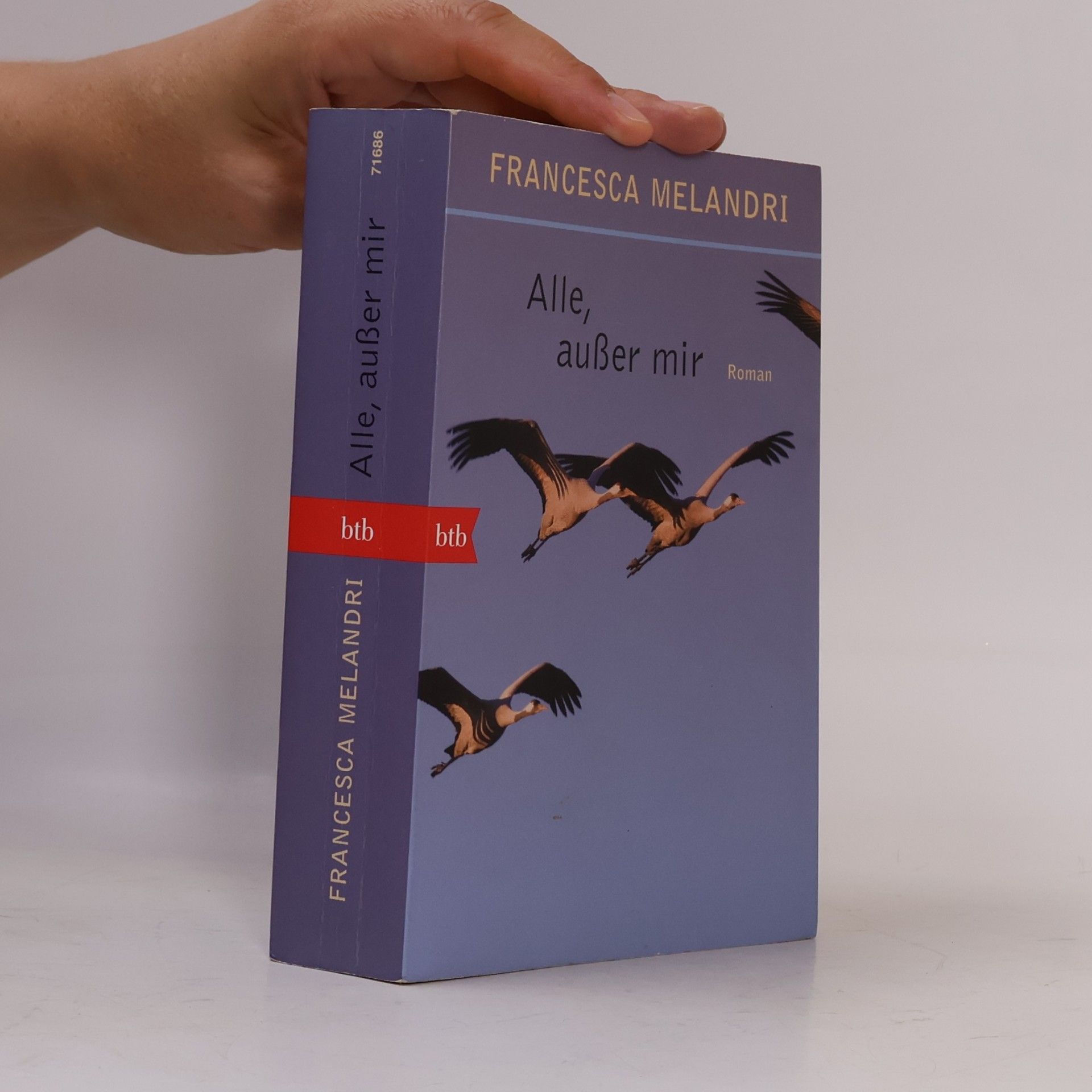 Francesca Melandri Alle, außer mir