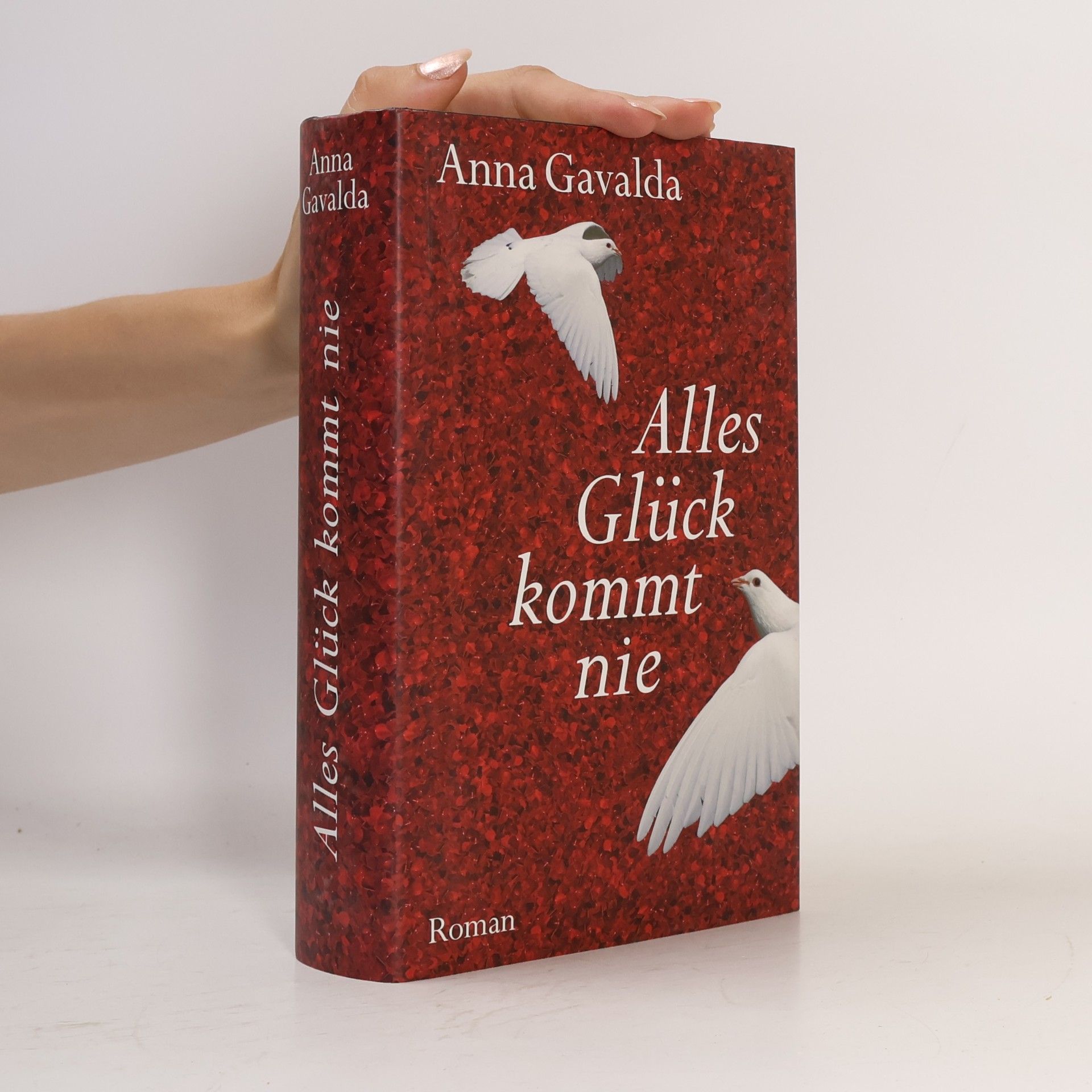 Anna Gavalda Alles Glück kommt nie