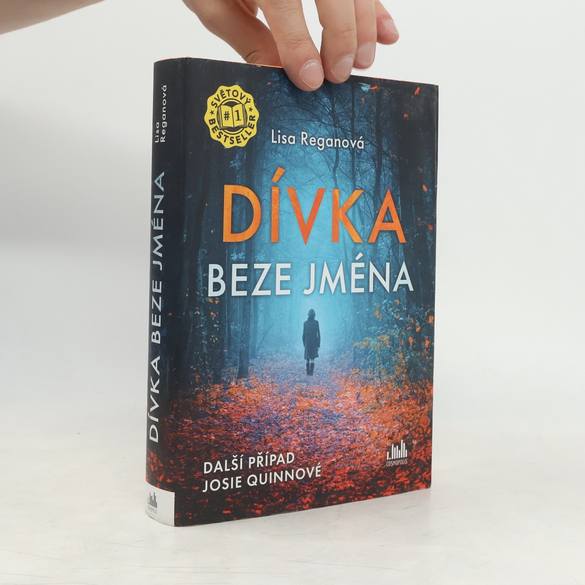 Lisa Regan Dívka beze jména: Další případ Josie Quinnové