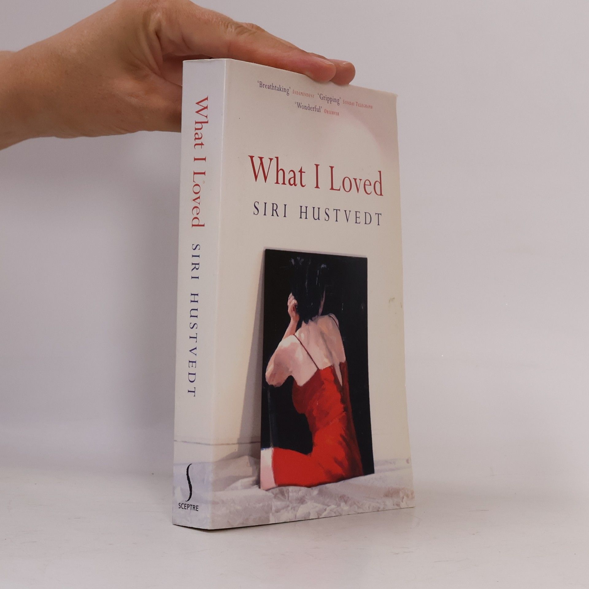 Siri Hustvedt What I Loved