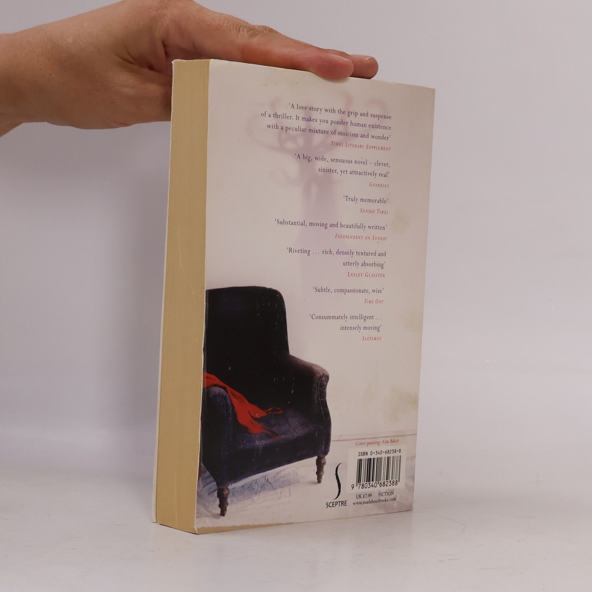 Siri Hustvedt What I Loved