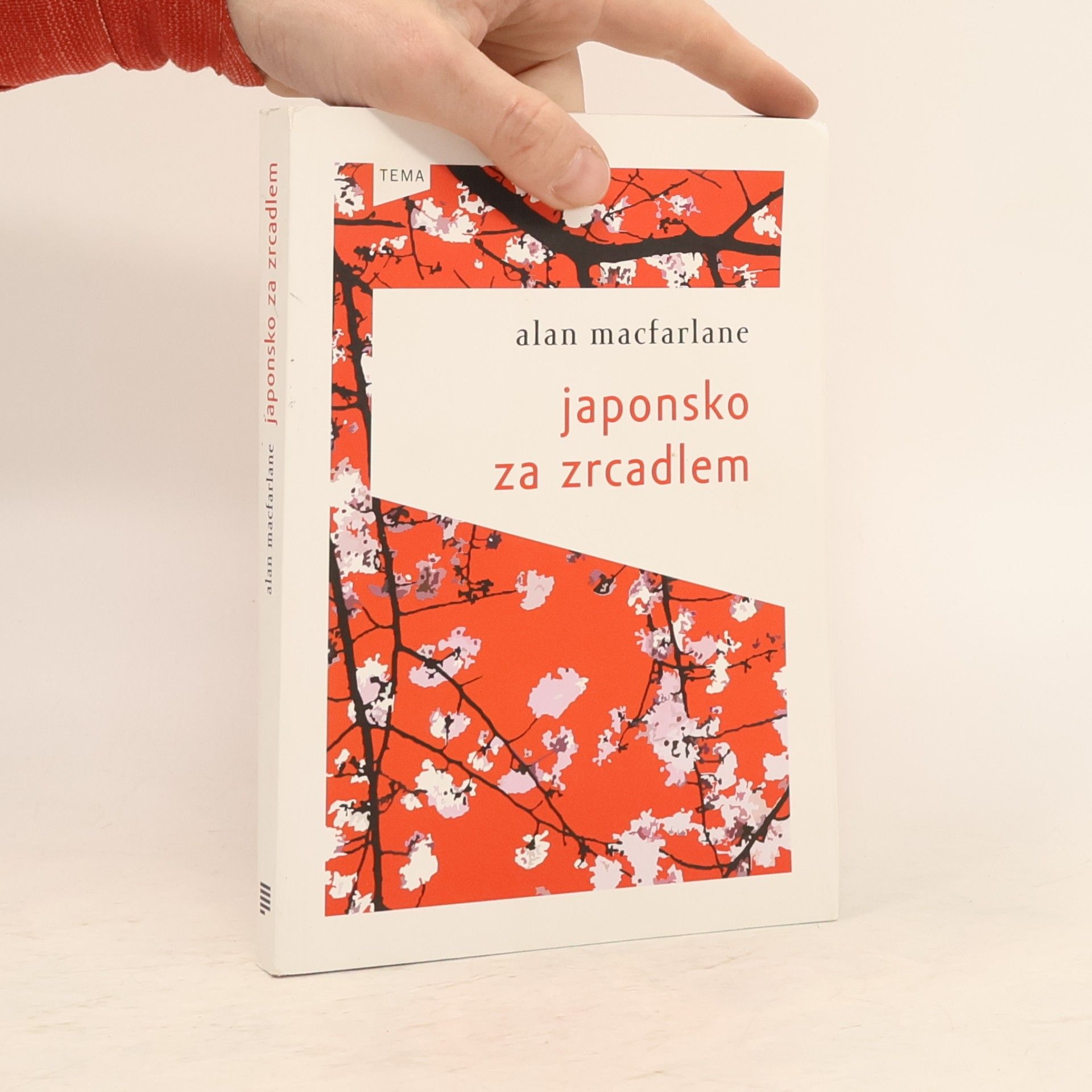 Alan Macfarlane Japonsko za zrcadlem