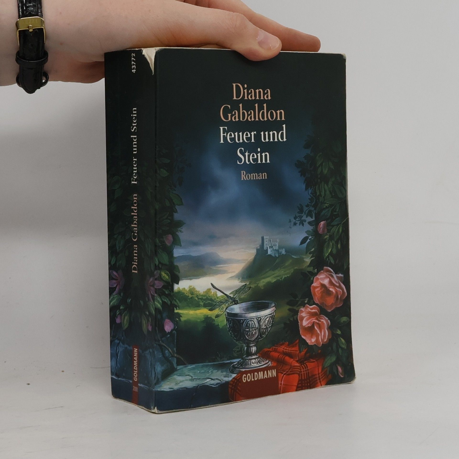Diana Gabaldon Feuer und Stein