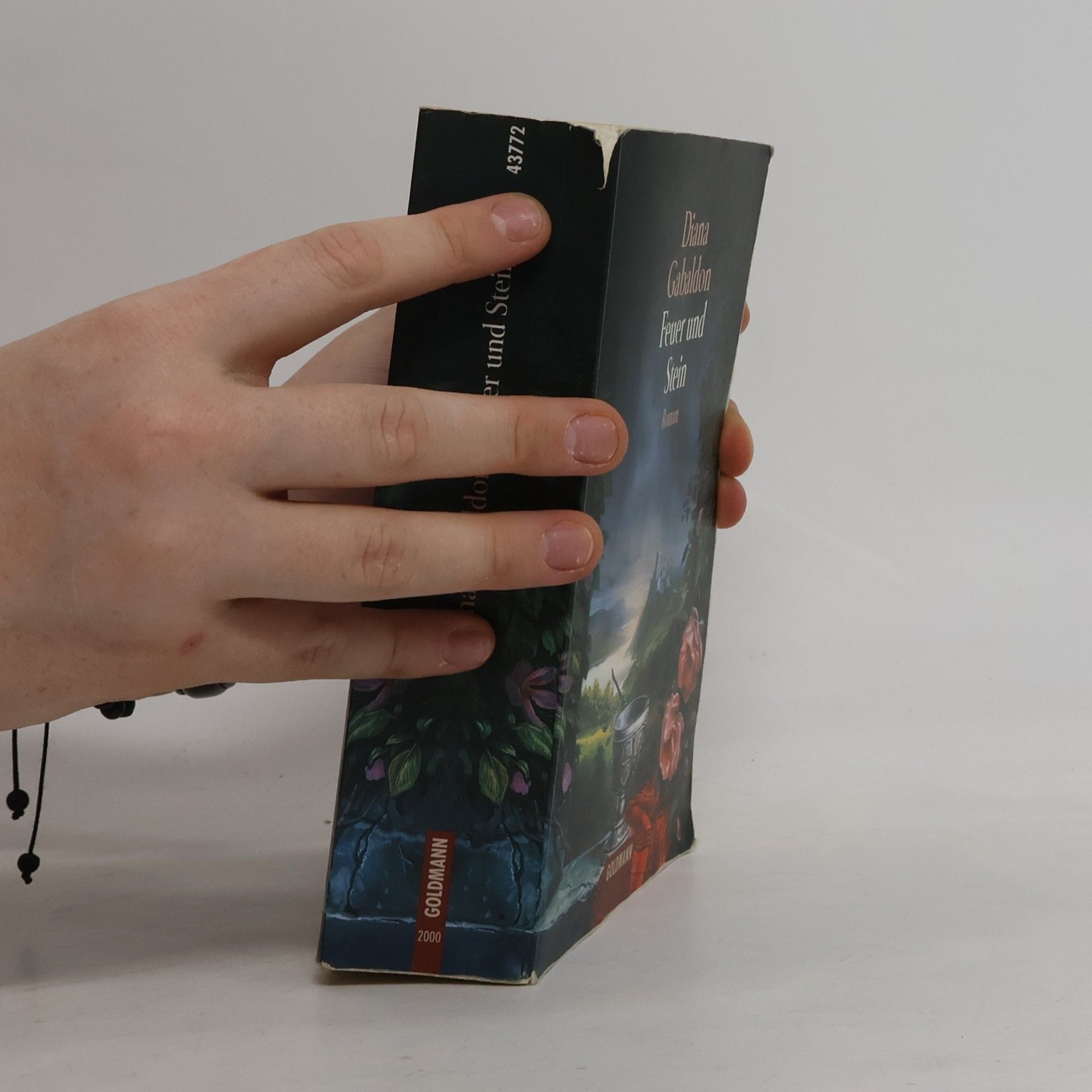 Diana Gabaldon Feuer und Stein