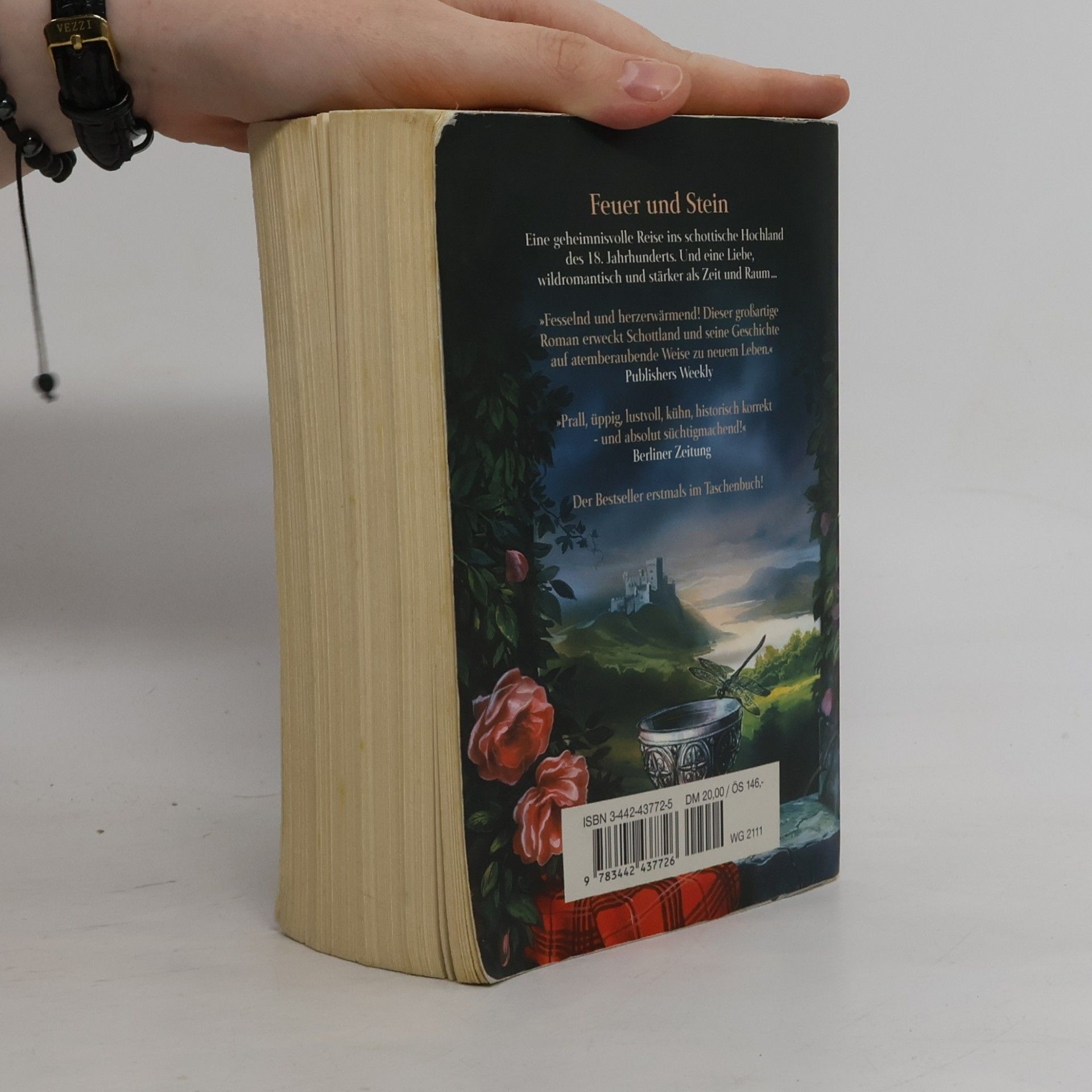 Diana Gabaldon Feuer und Stein